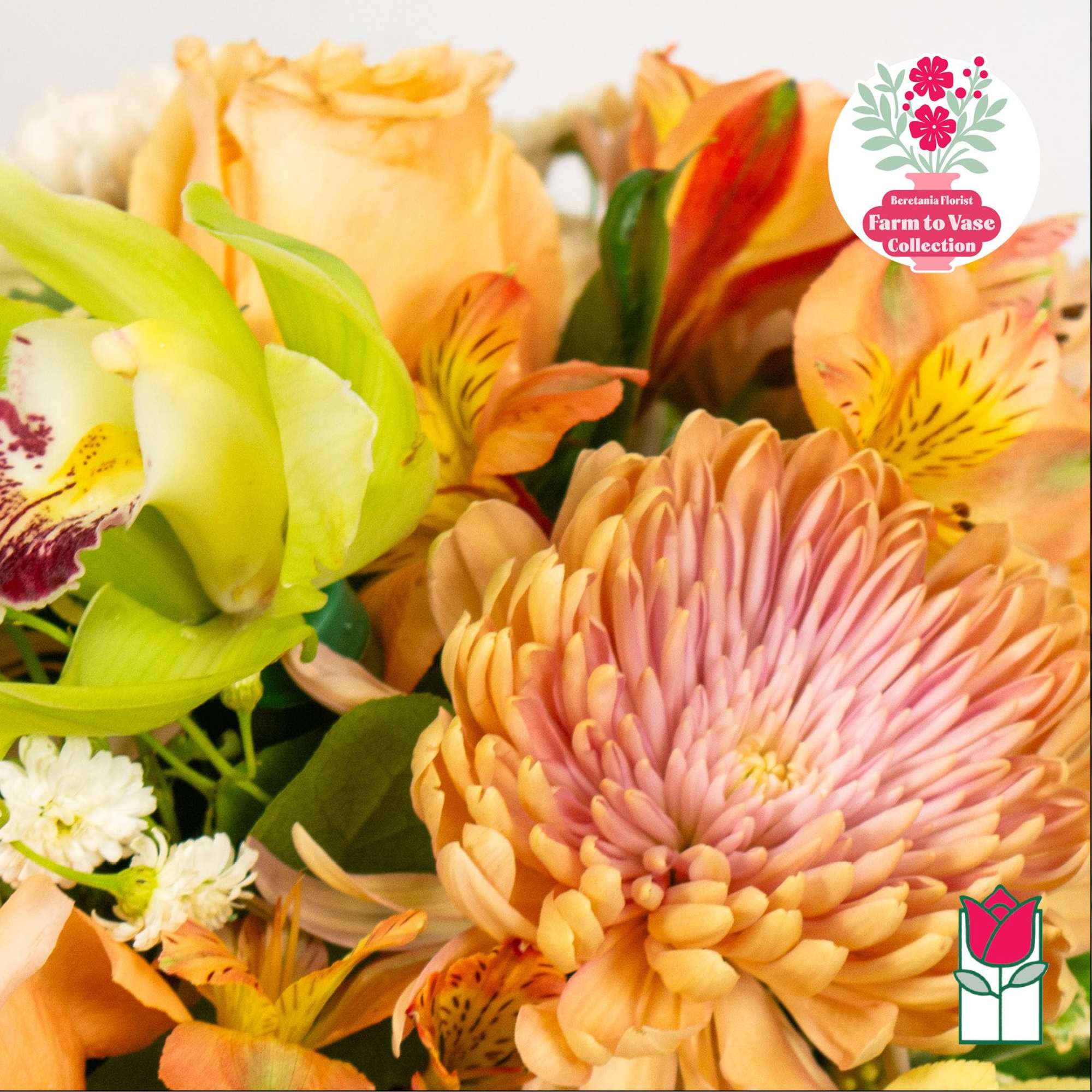 Close-up bouquet of peach and pink flowers with green blooms