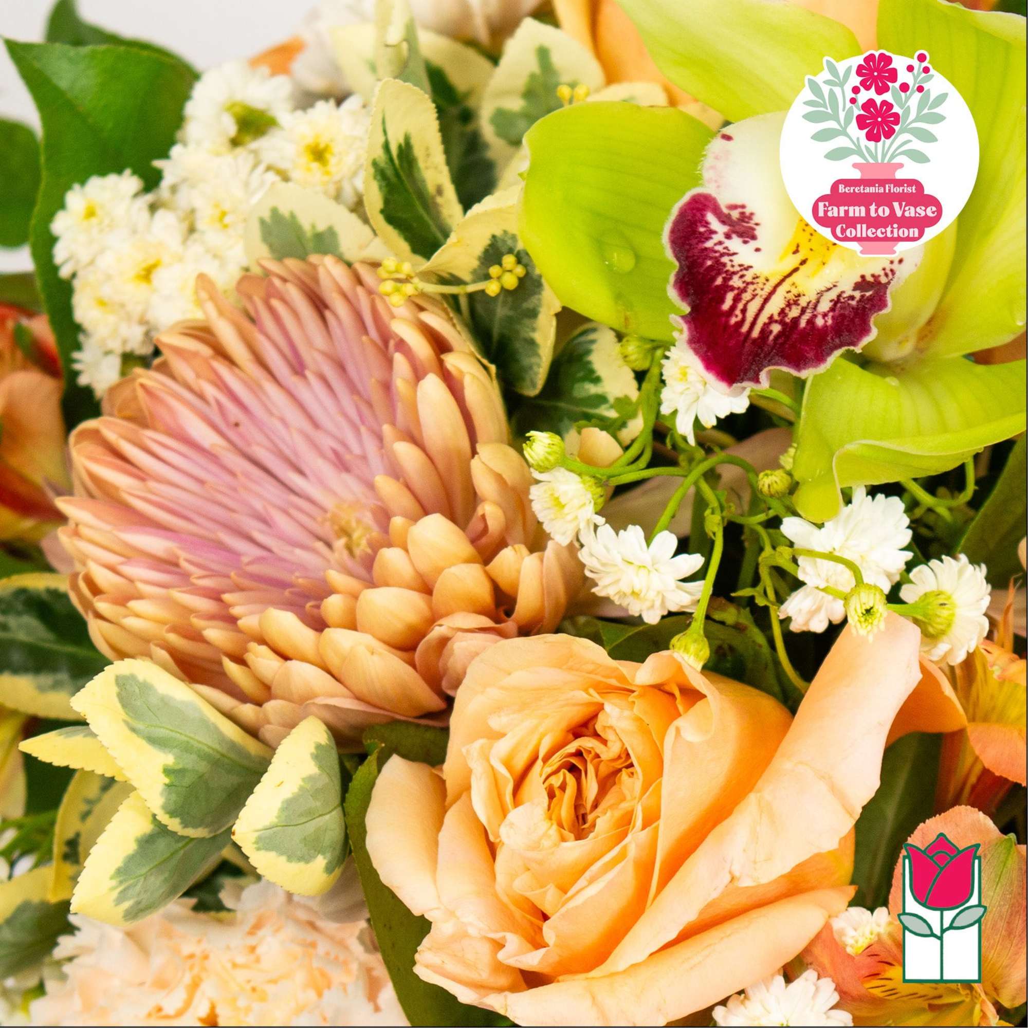 Close-up bouquet with peach roses, a pink chrysanthemum, and green orchids