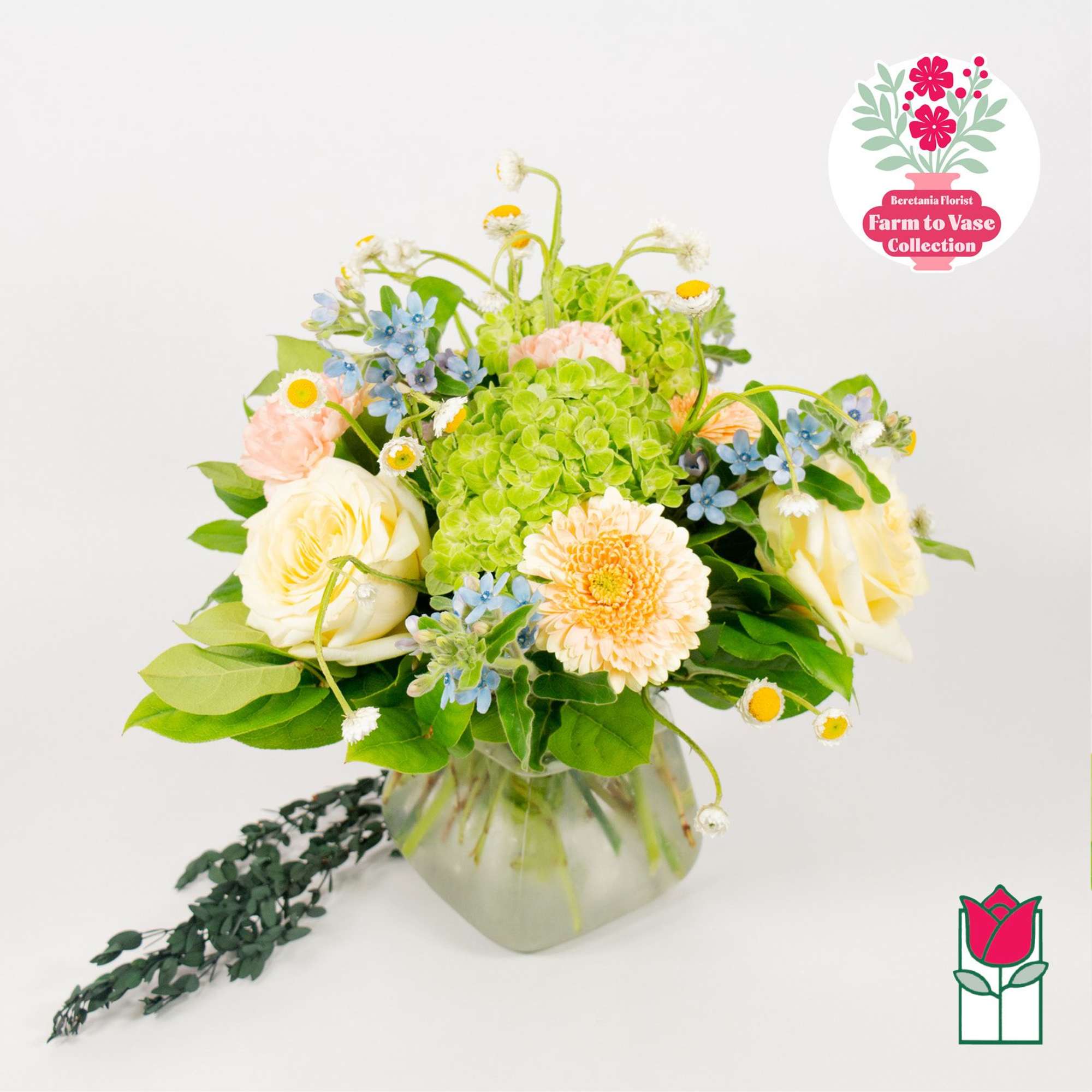 Mixed bouquet in a glass vase with pale roses and green hydrangea