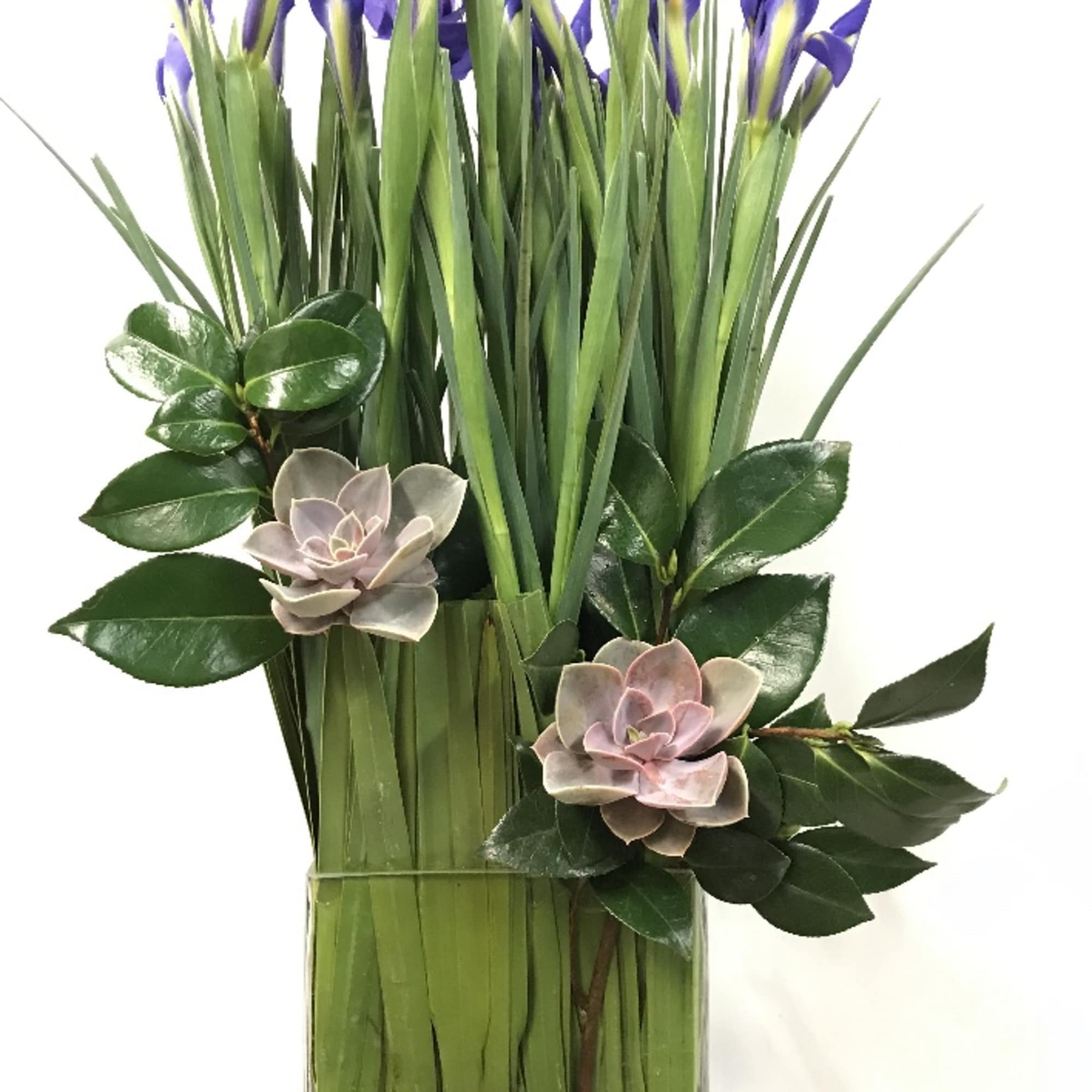 Tall arrangement of purple iris with succulents in a clear glass vase
