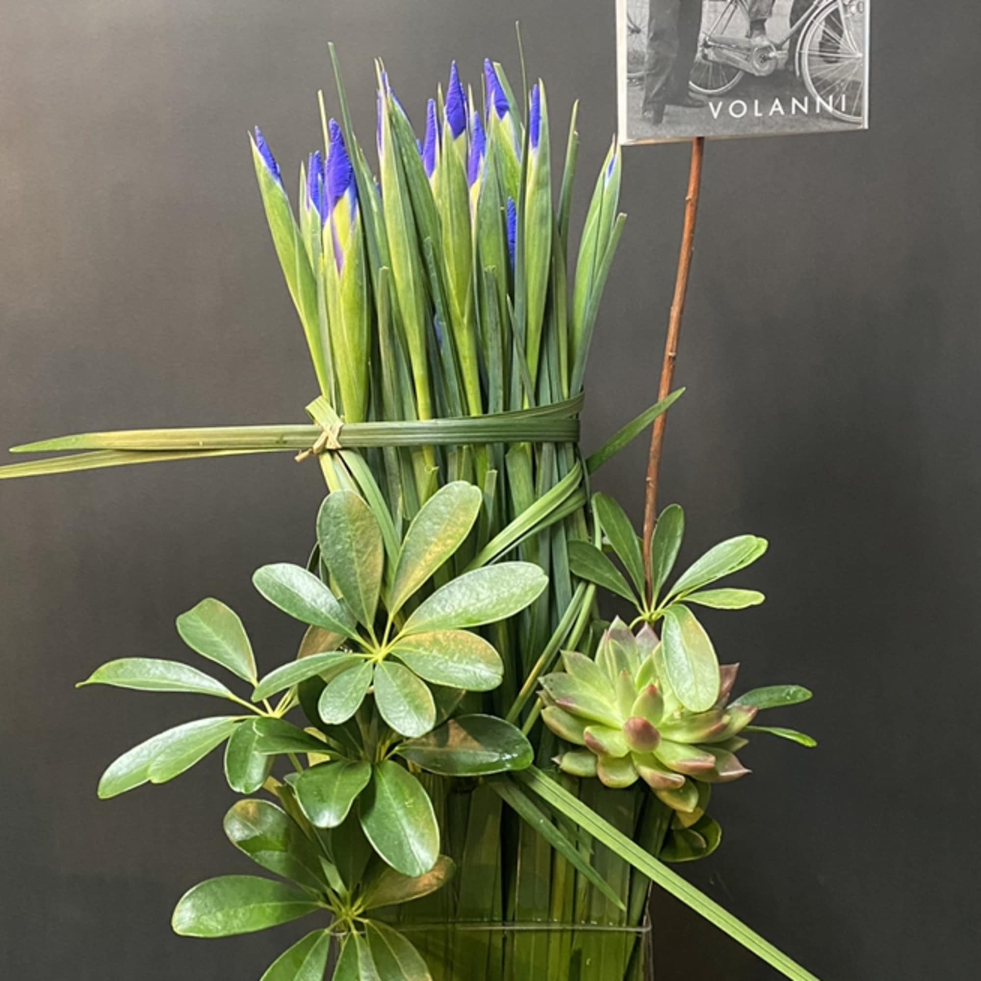 Tall arrangement of blue iris and green succulents in a glass vase