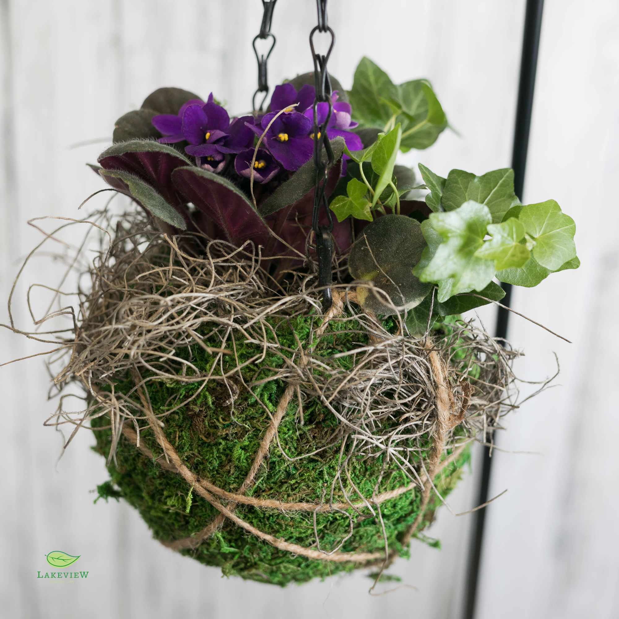Hanging moss basket with purple flowers and green ivy