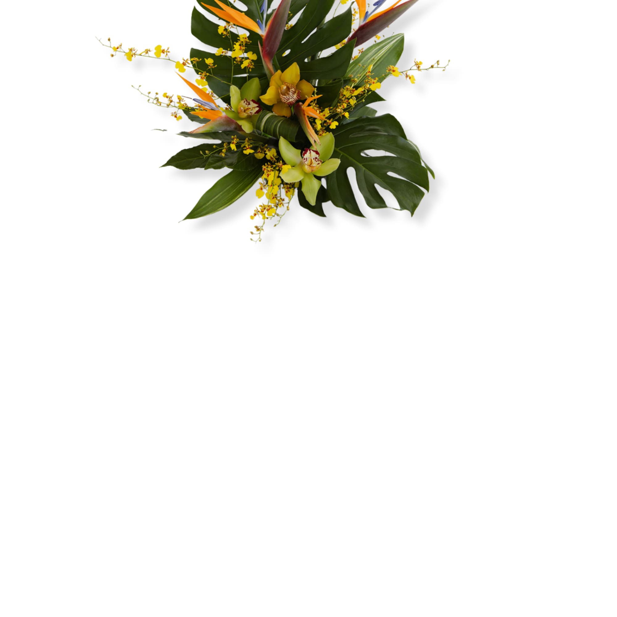 Tropical bouquet with bird-of-paradise and orchids