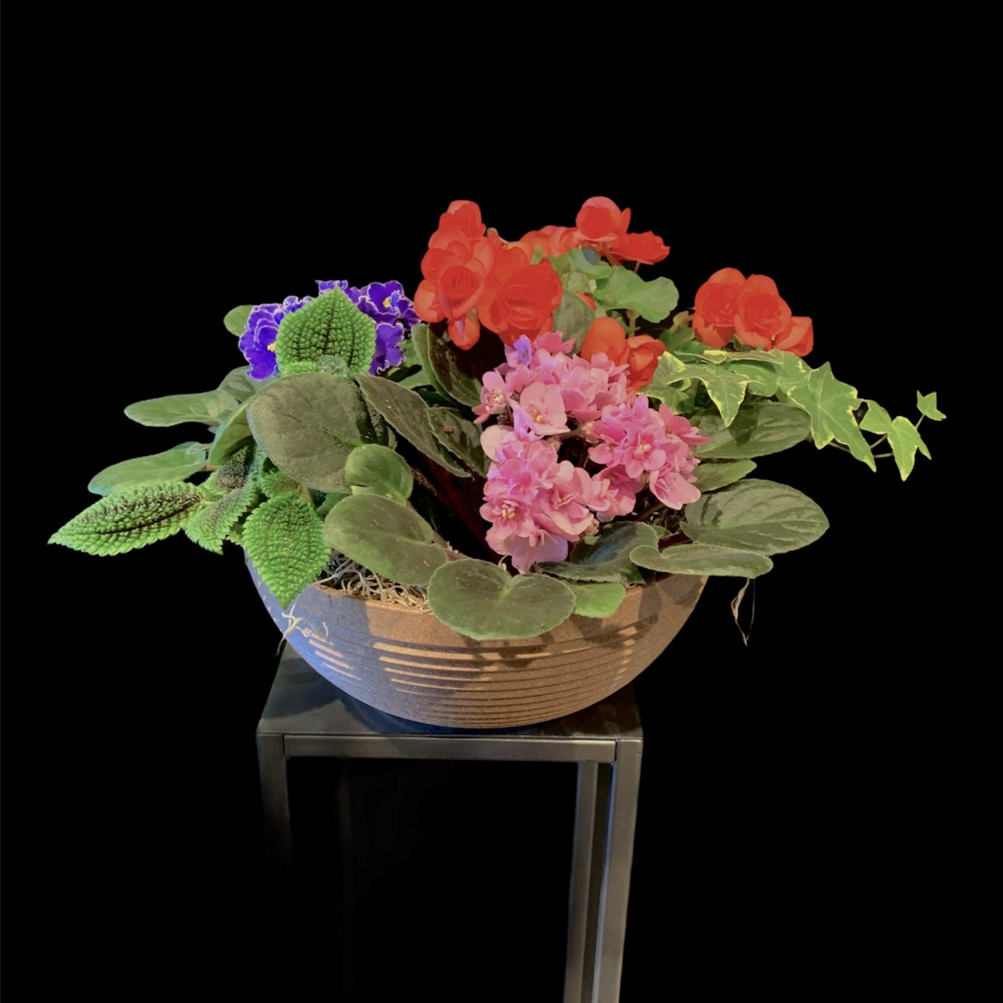 Mixed potted flowers in a shallow bowl on a stand