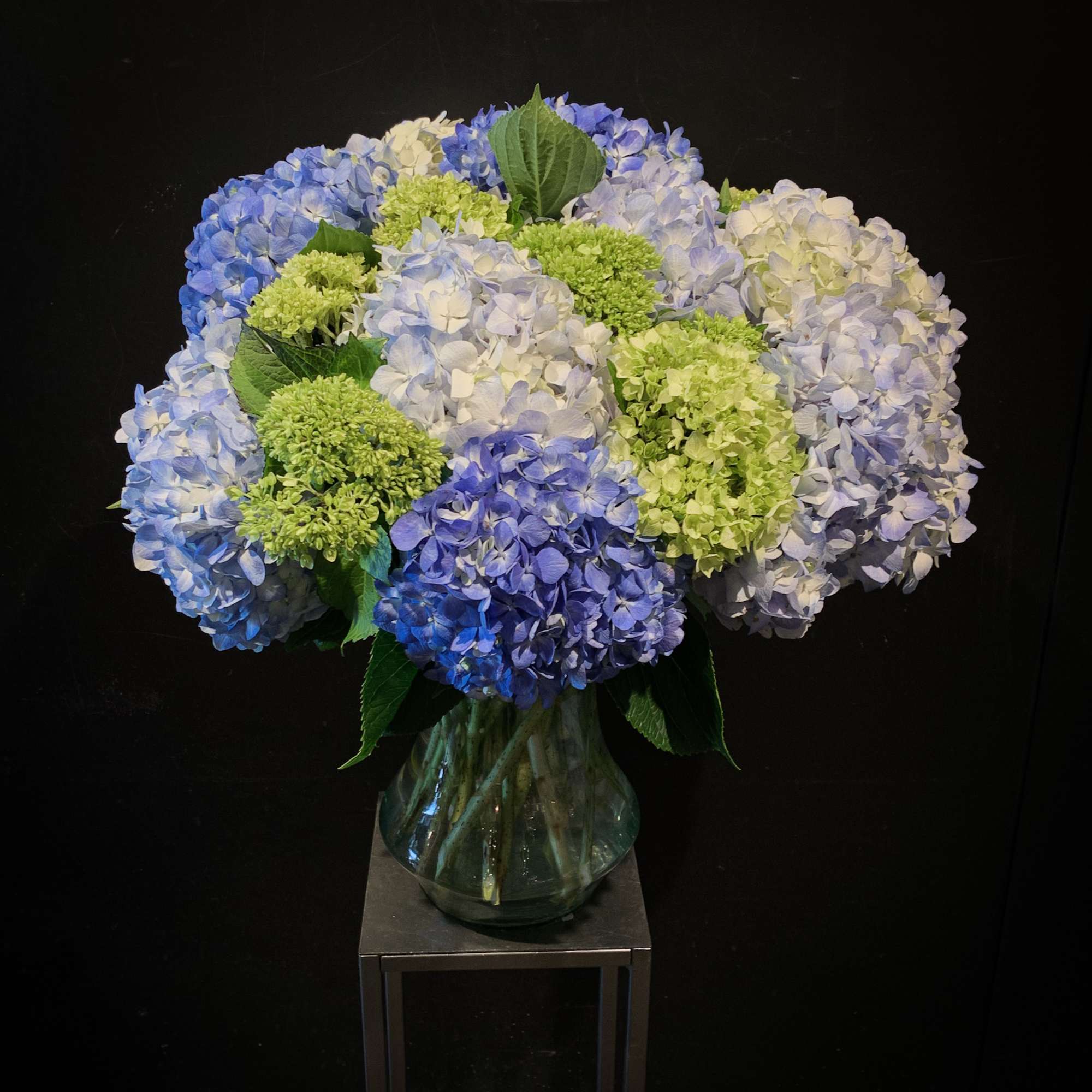 Blue, white, and green hydrangeas in a glass vase