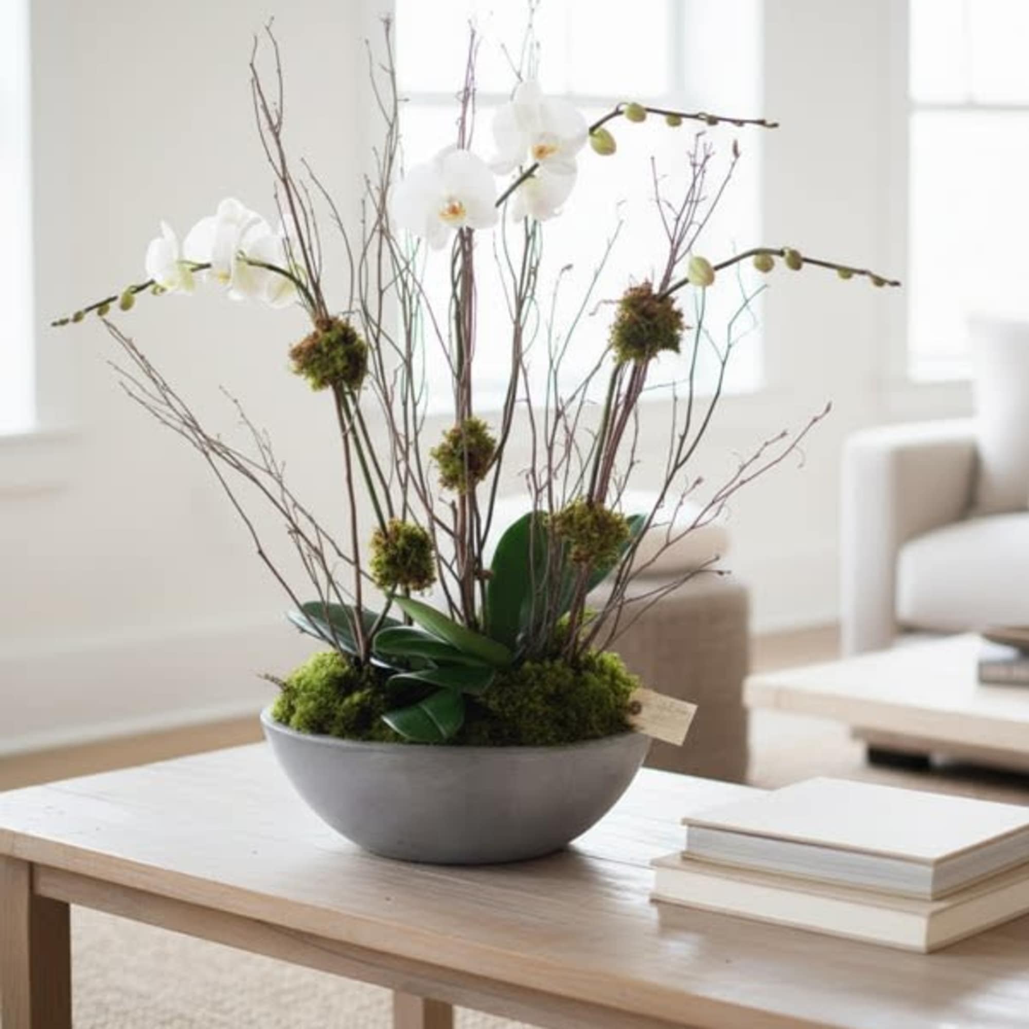 Modern meets woodsy..  this design features two Phalaenopsis Orchid plants supported