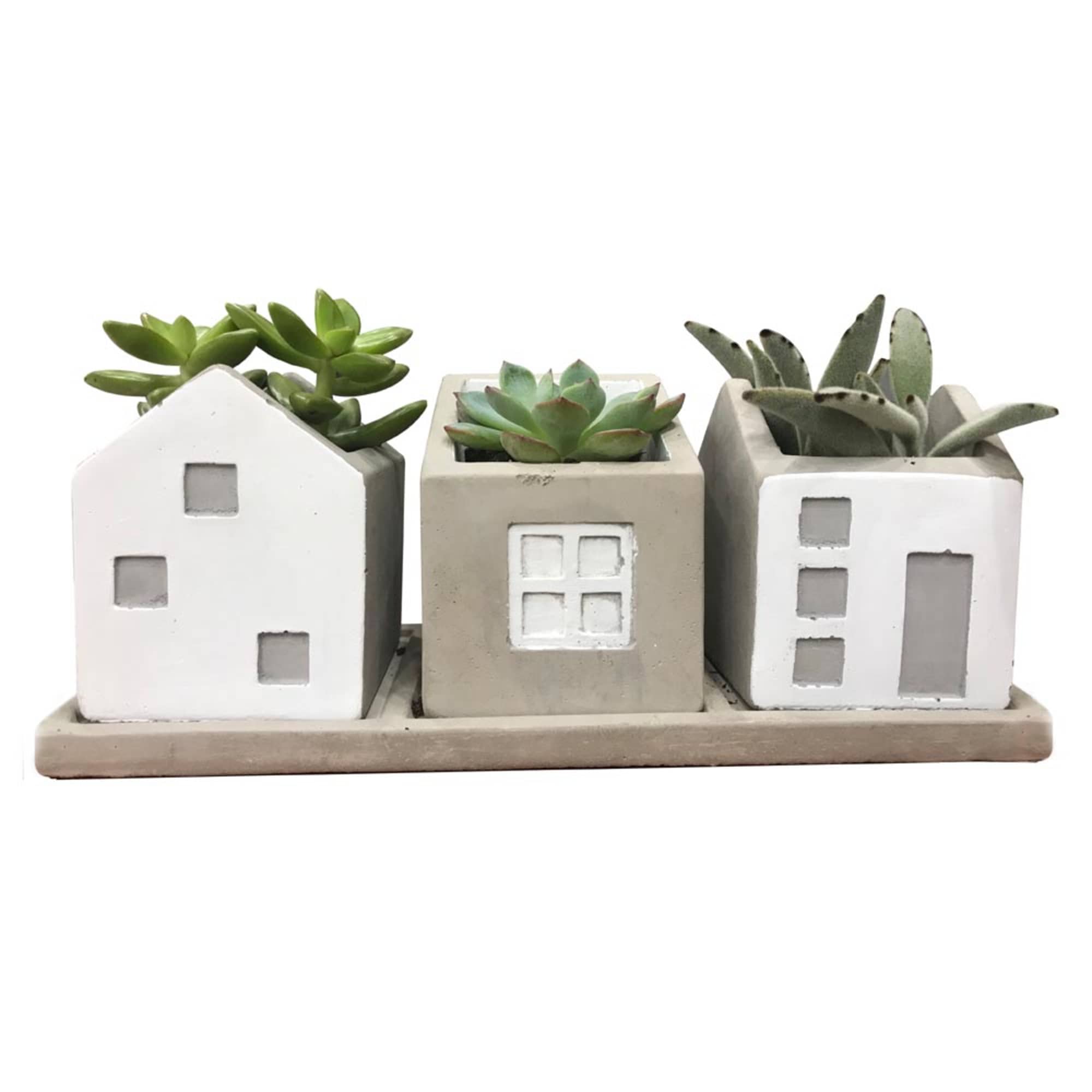 Three small succulent planters shaped like houses on a tray