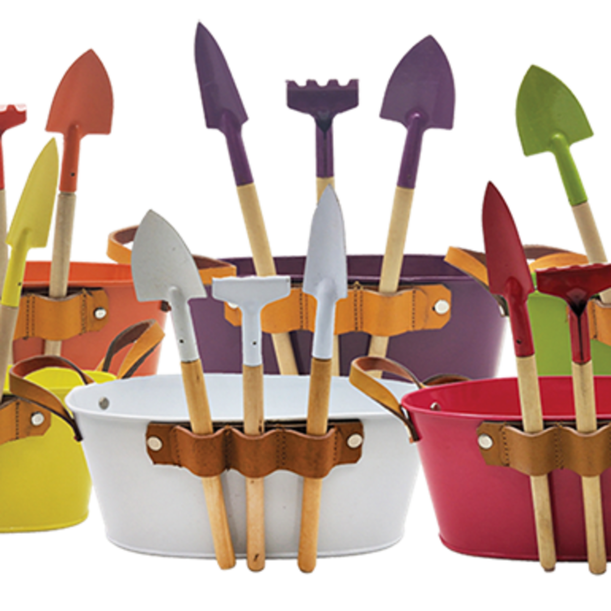 Our Garden set with tools comes with (3) green plants.  We
