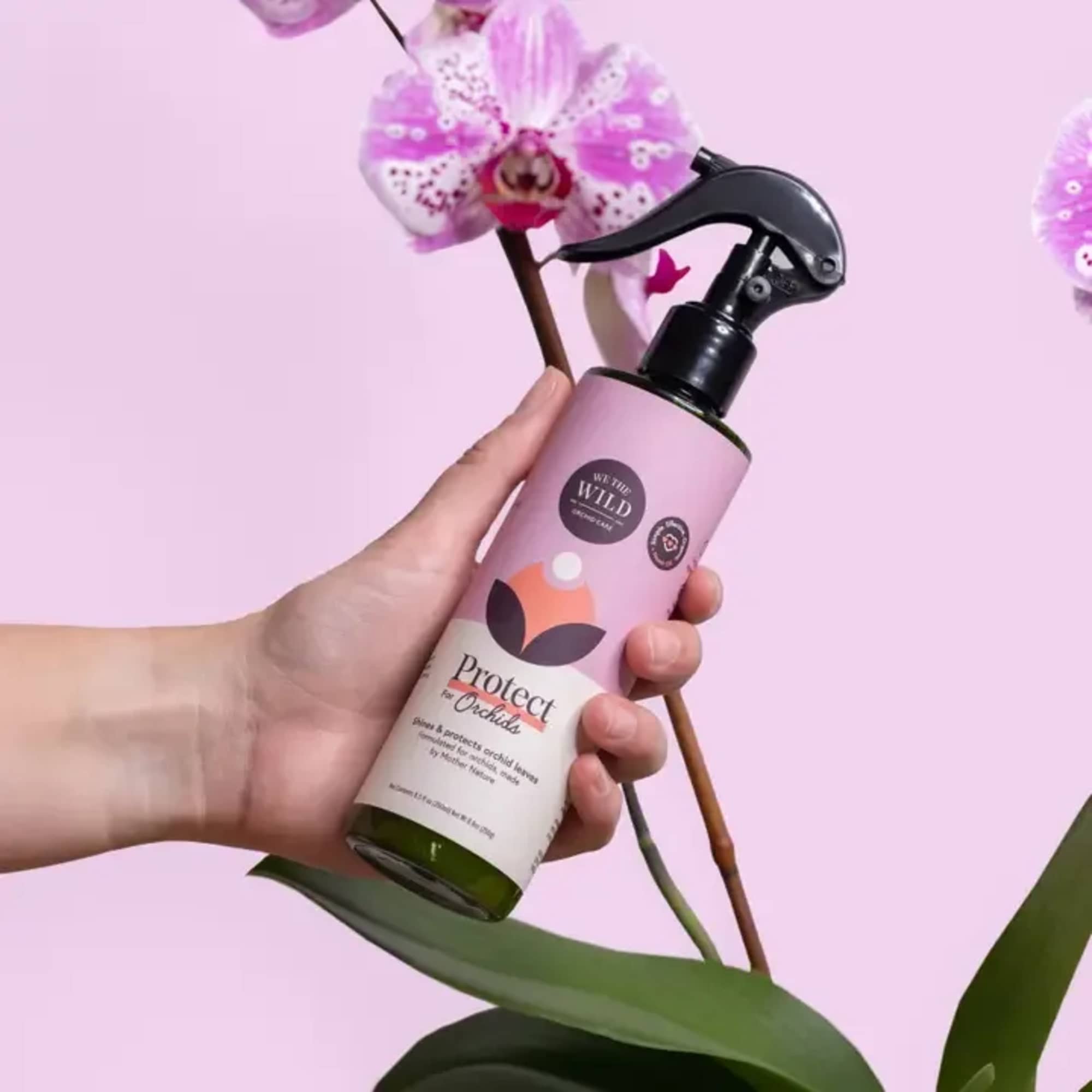 Our organic essentials have been reformulated to make your orchids thrive! Our, photo 5 of 5