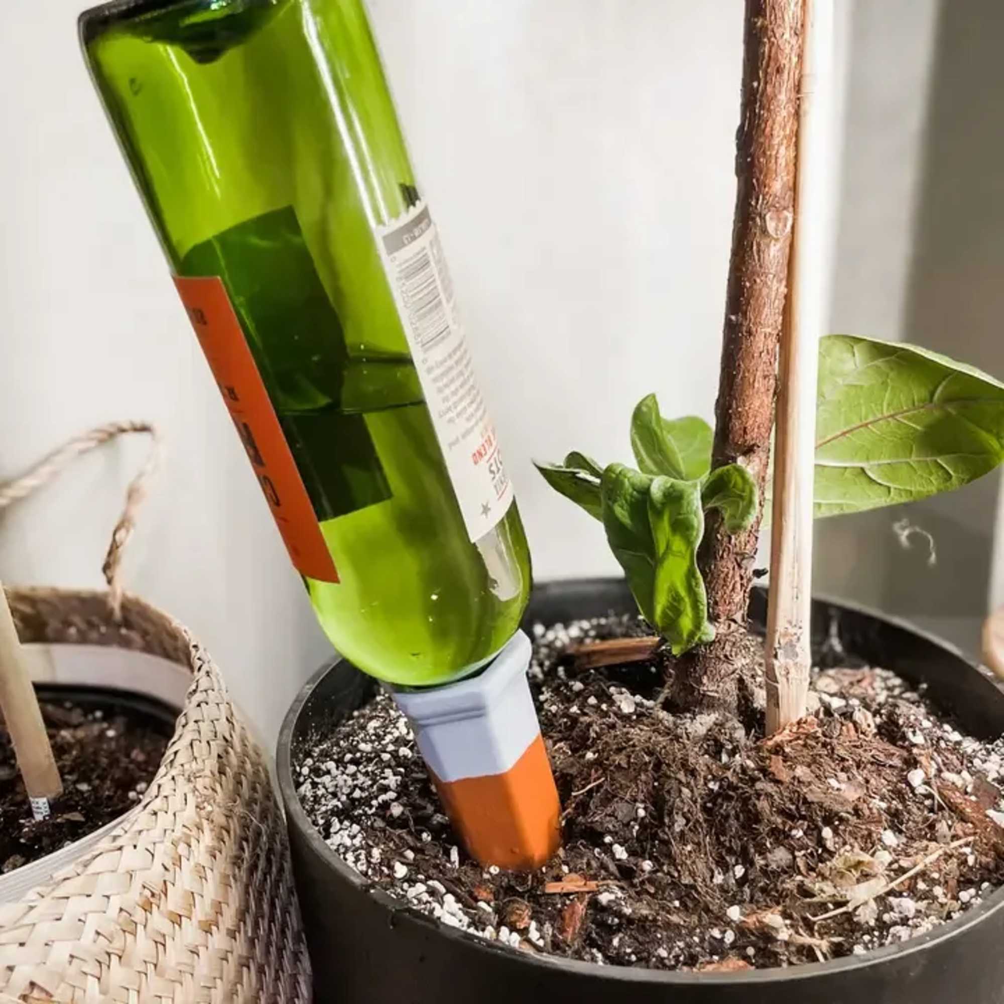 1 unit 
Introducing our multicolor watering spikes, a practical and visually appealing, photo 2 of 5