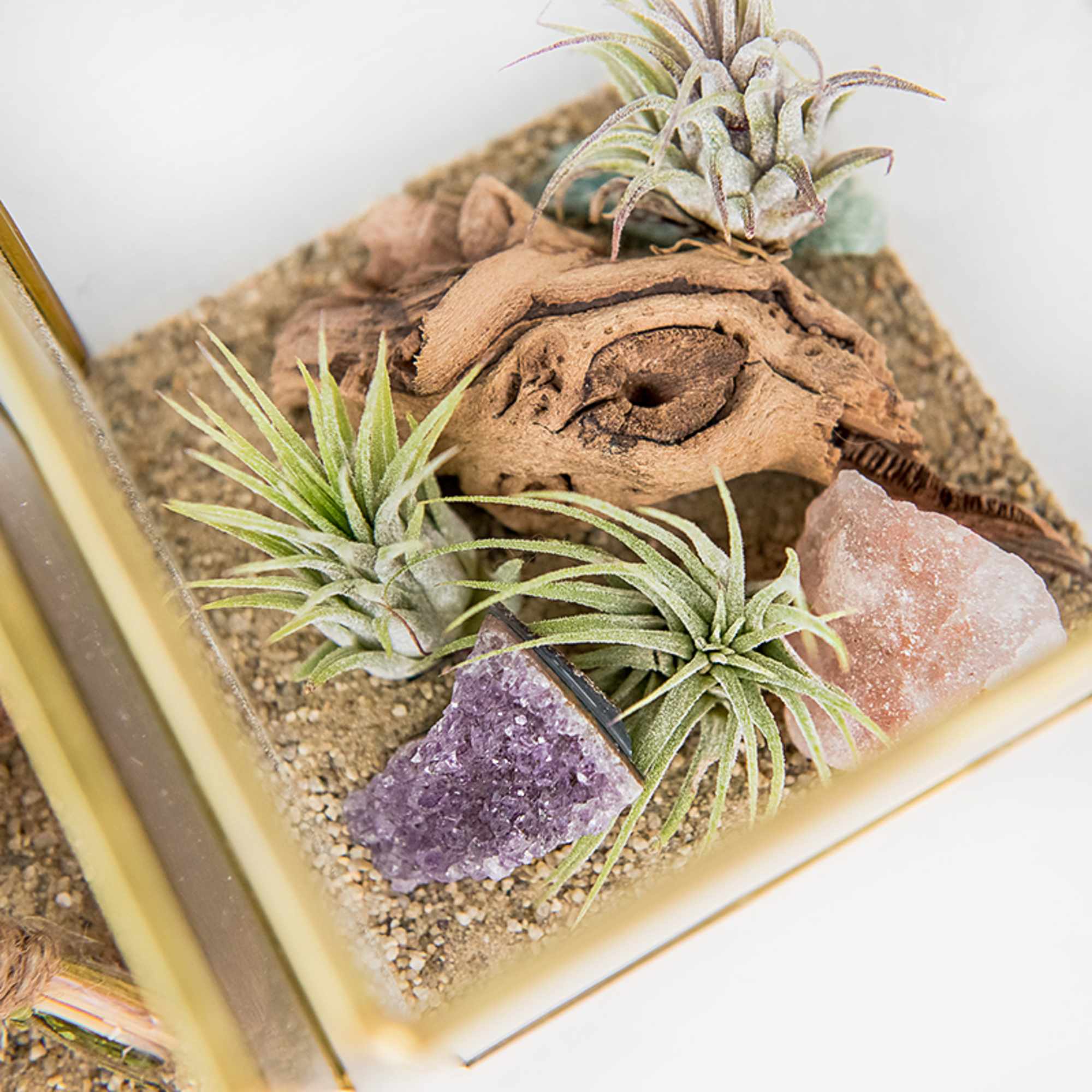 Air plant terrarium with driftwood and crystals arranged on sand in a glass box