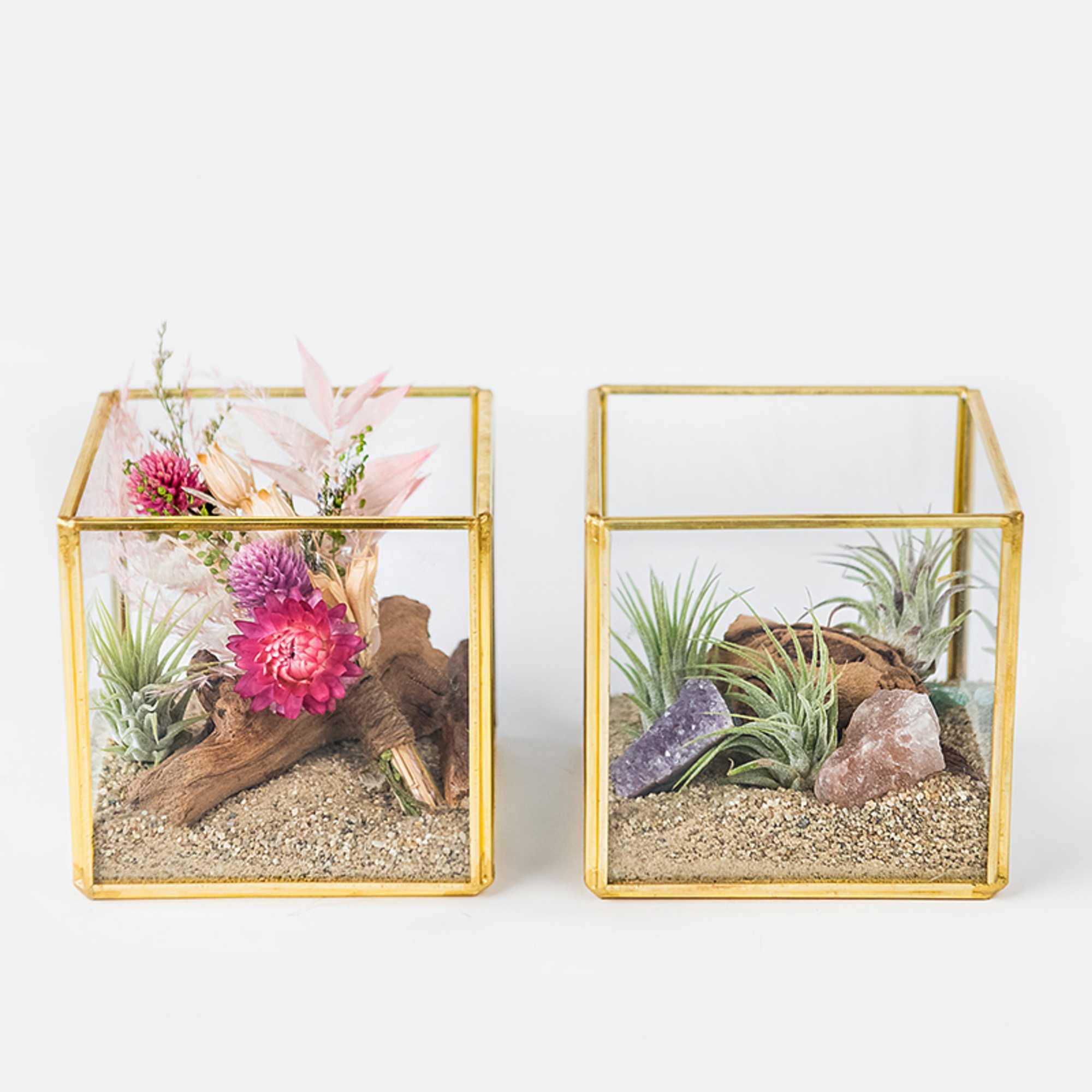 Pair of glass cube terrariums with pink blooms, air plants, driftwood, and crystals on sand.