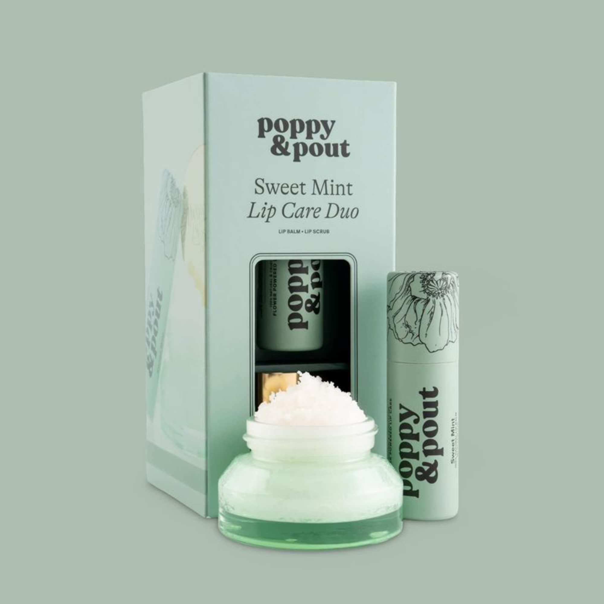 Mint lip care duo in a box with a balm jar and tube