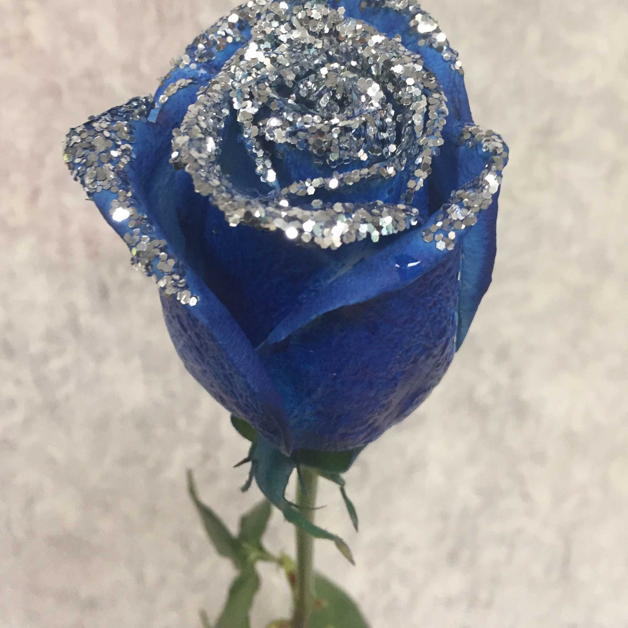 Single blue rose with silver glitter on the petals