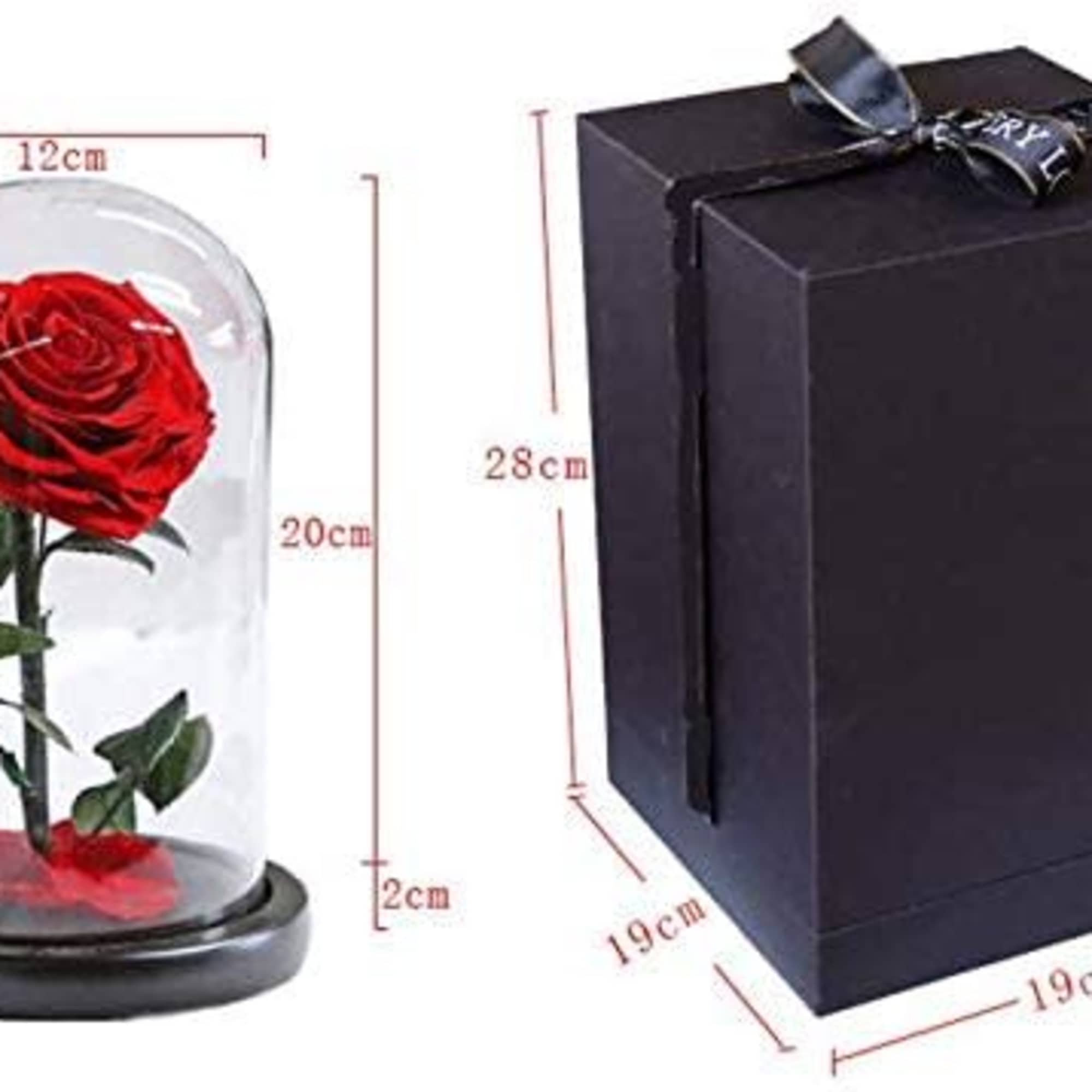 Single red rose under a glass dome beside a black gift box
