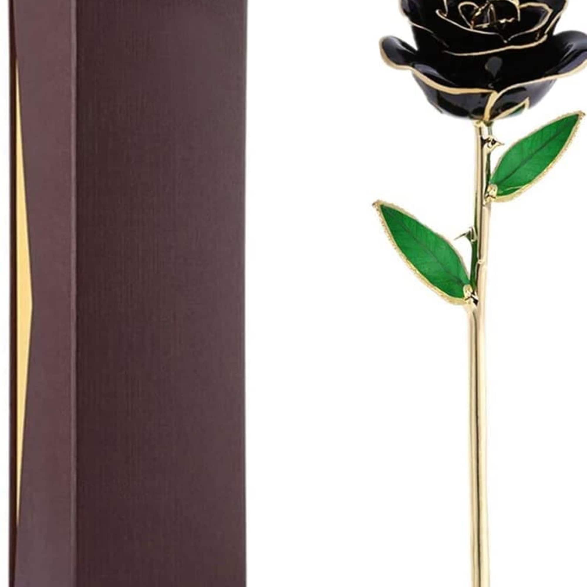 Black rose with gold trim beside a brown gift box