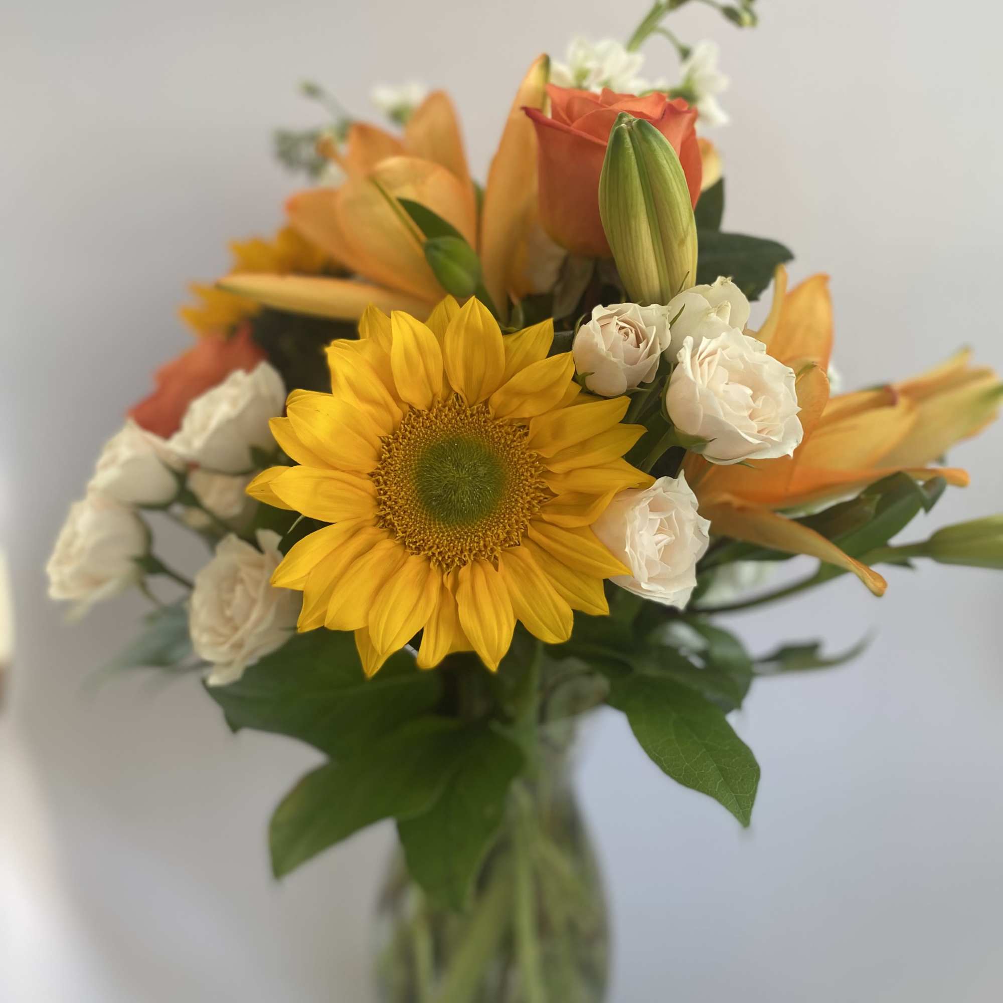 Embrace the Season with Fall Fresh
Celebrate the vibrant beauty of autumn with, photo 2 of 4