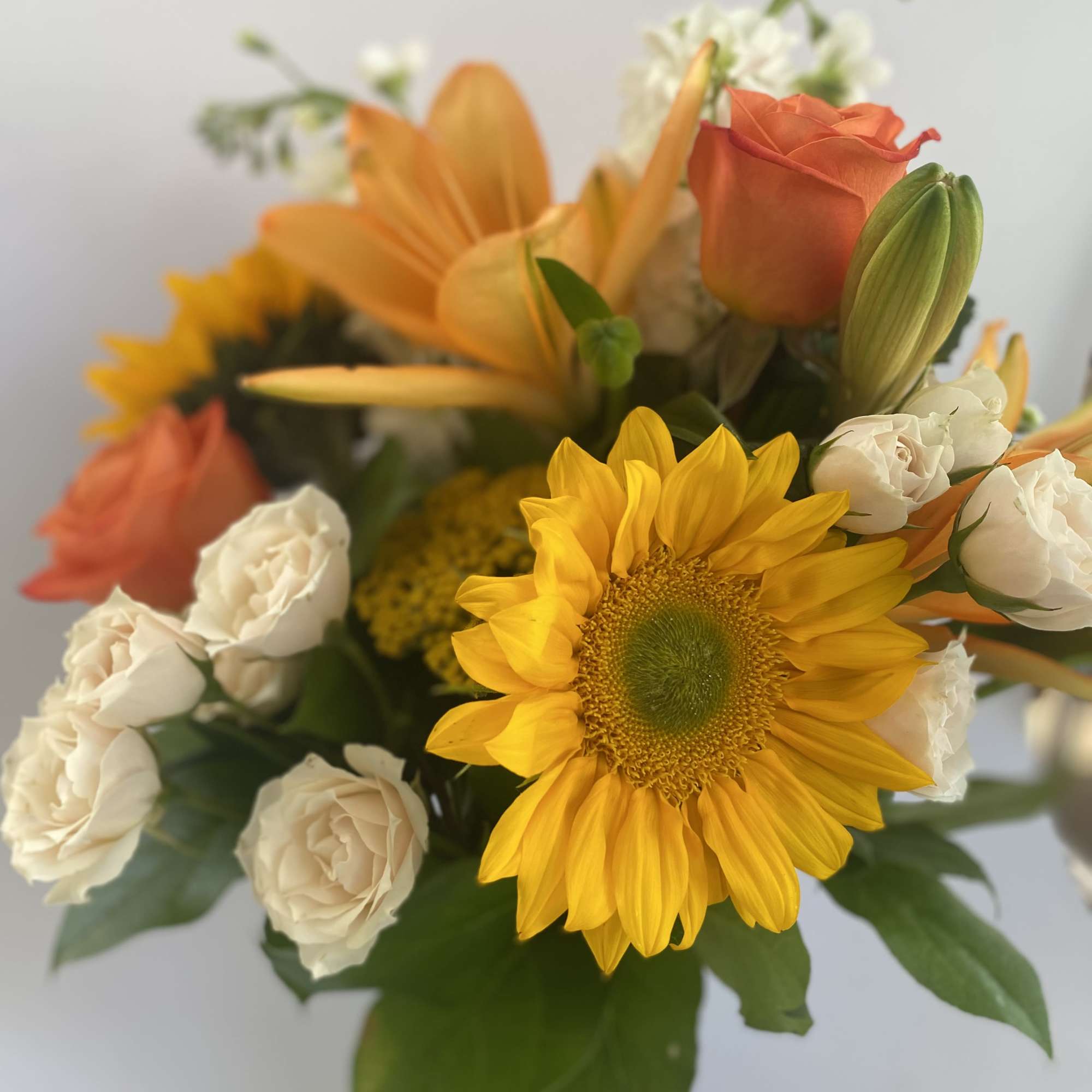 Embrace the Season with Fall Fresh
Celebrate the vibrant beauty of autumn with, photo 4 of 4