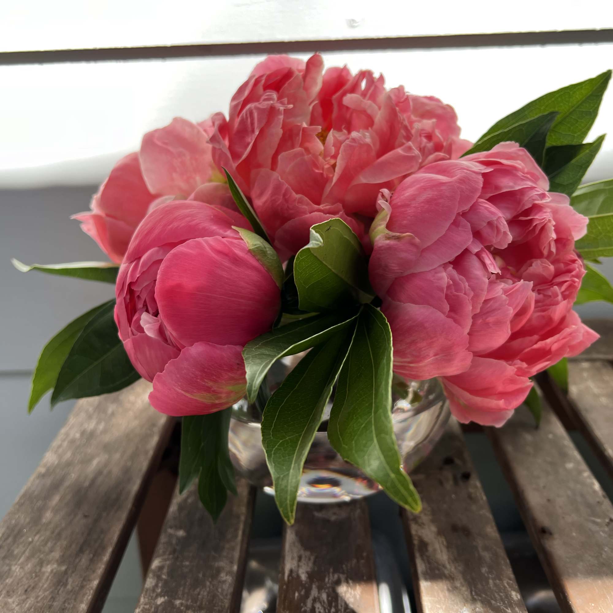 Pink peonies arranged in a clear glass vase, photo 2 of 3