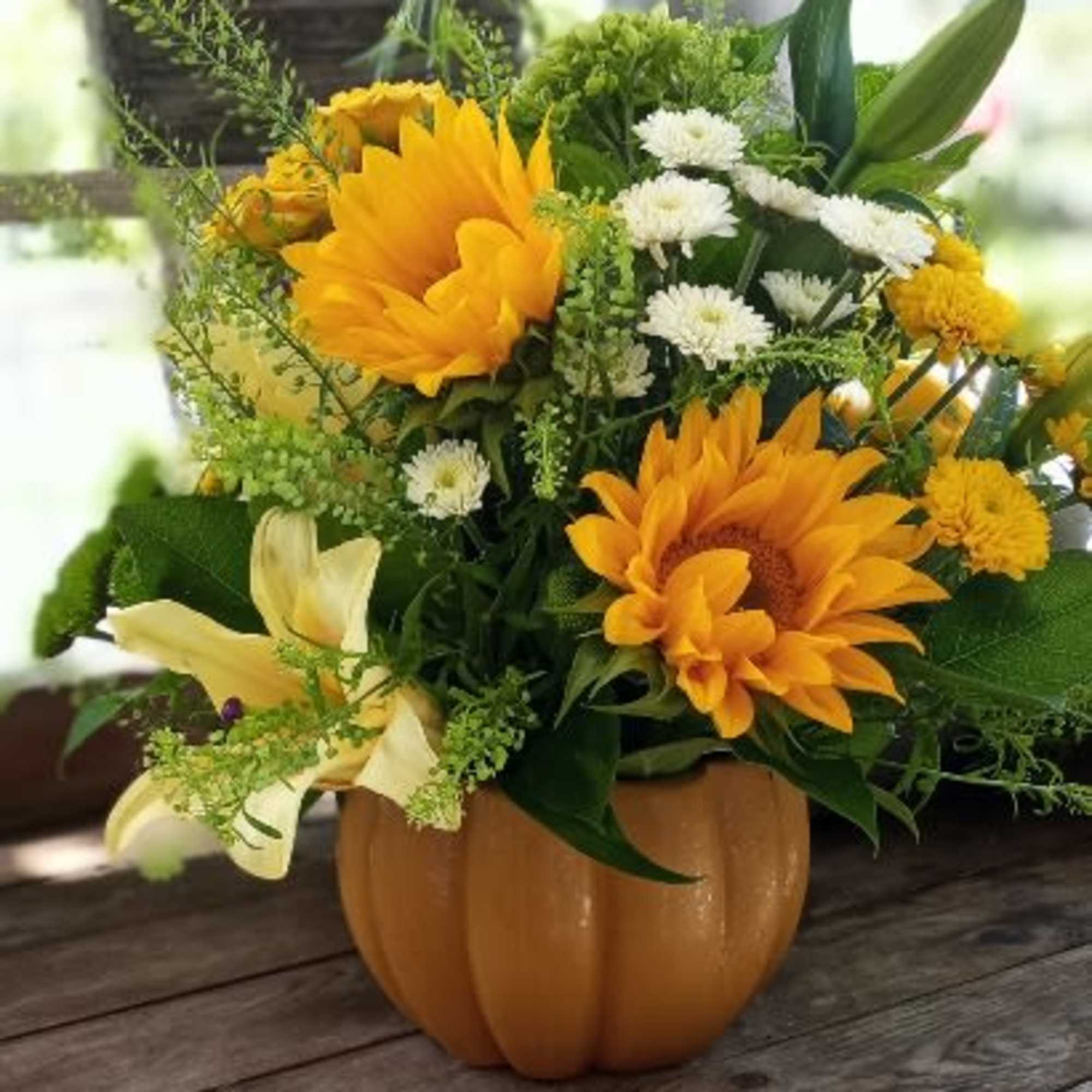 Sunflower and white daisy arrangement in a pumpkin-shaped container
