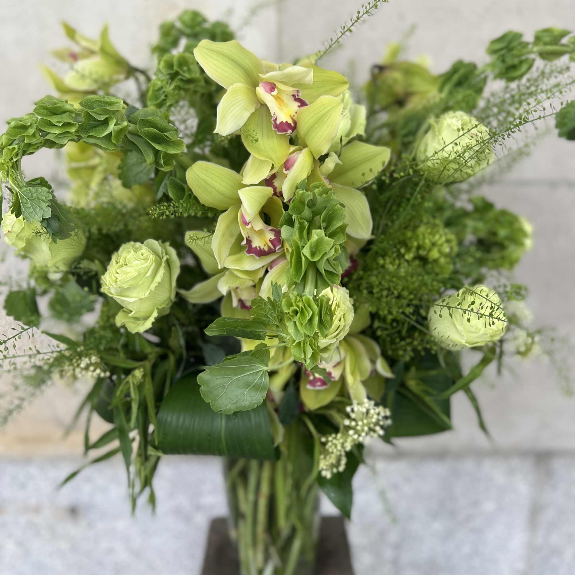 TALL LUSH ARRANGMENT CYMBIDIUM ORCHID, MINI GREEN HYDRANGEAS, BELLS OF IRELAND, ASCLEPIA, photo 6 of 7