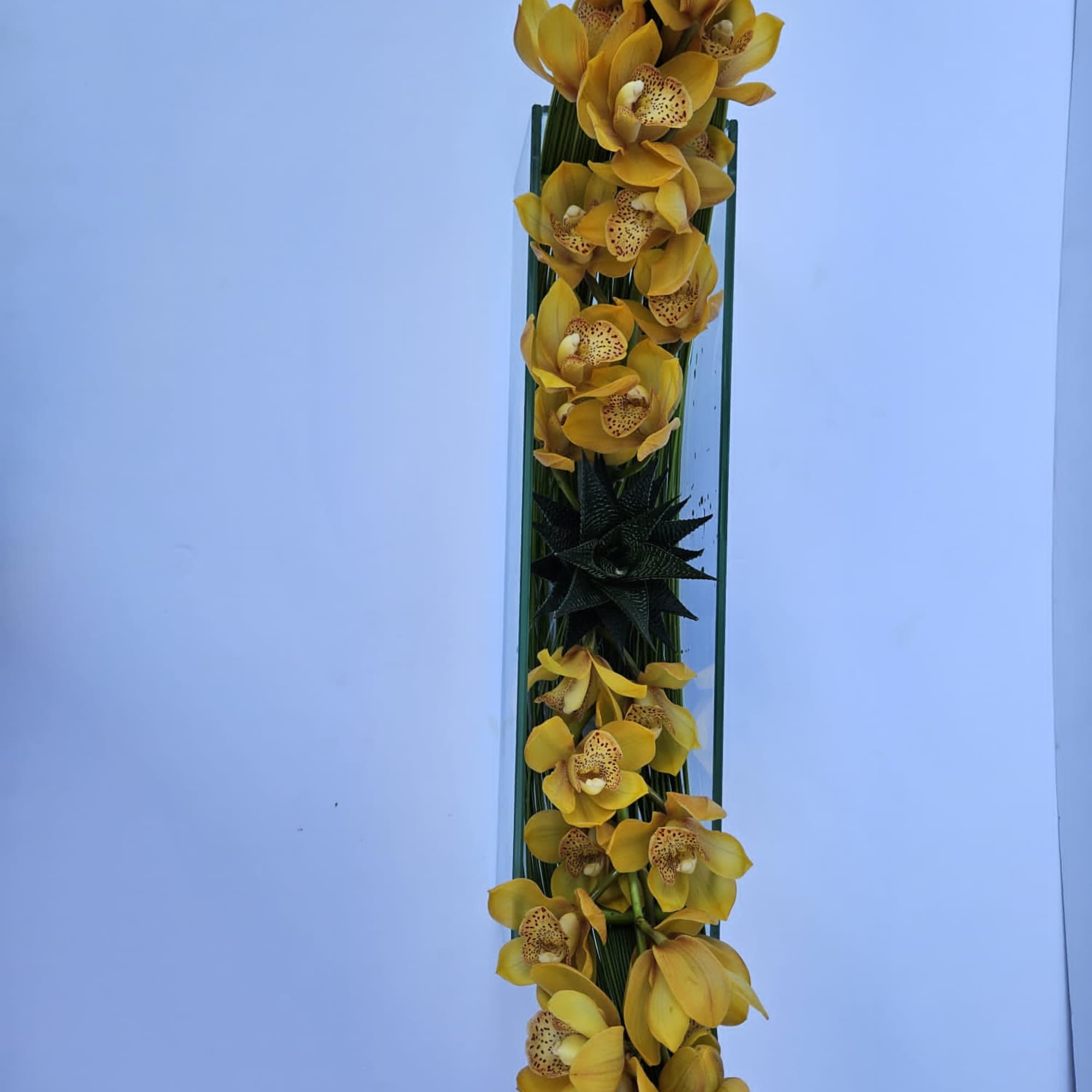 Tall arrangement of yellow orchids with dark foliage