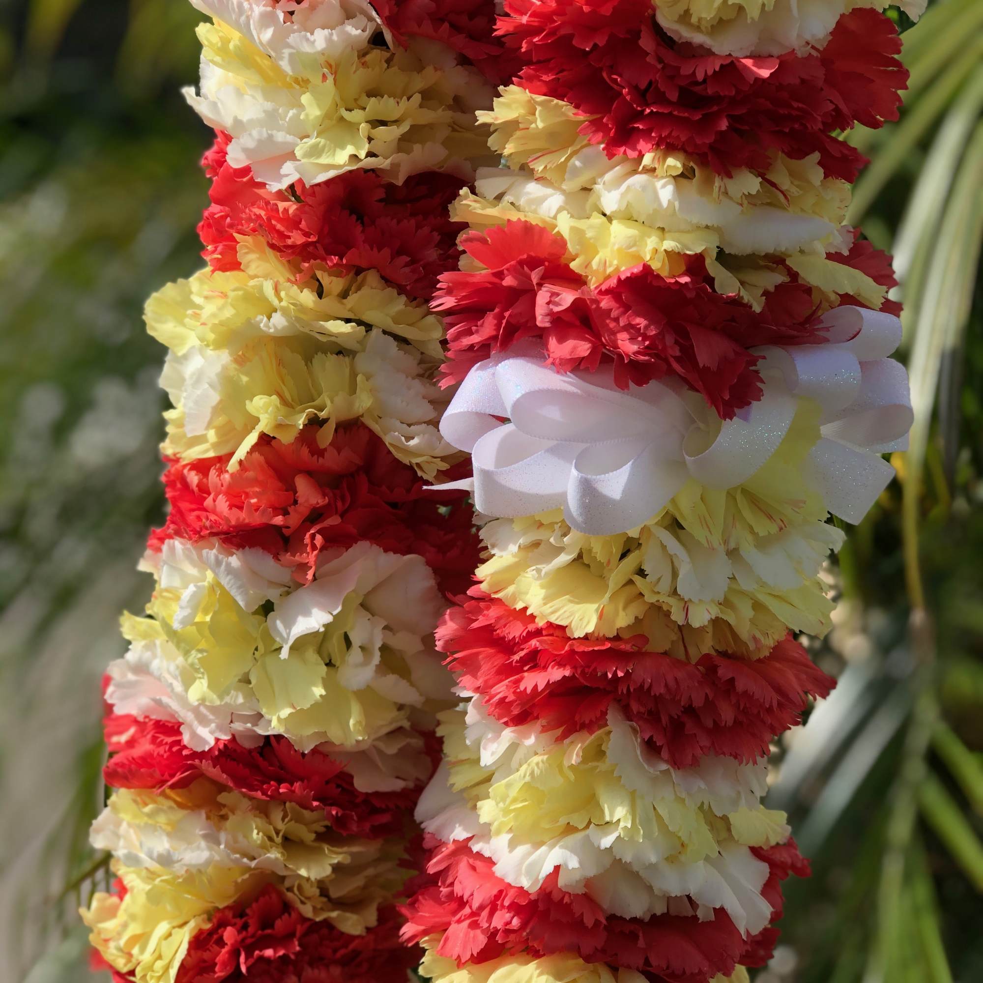 This beautiful and full carnation lei is a popular choice for a, photo 3 of 5