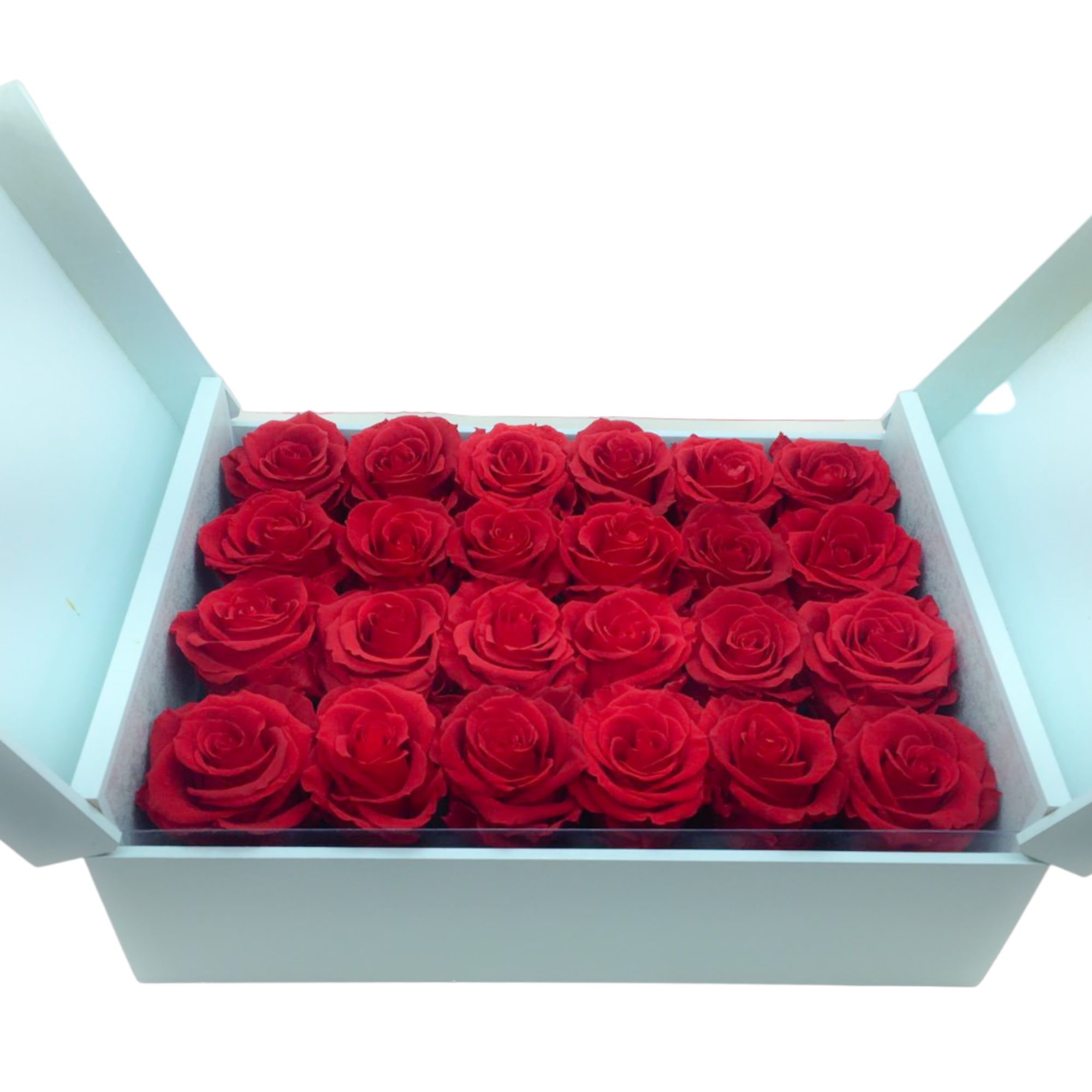 24 Red Everlasting roses in aqua wooden box.  It will last
