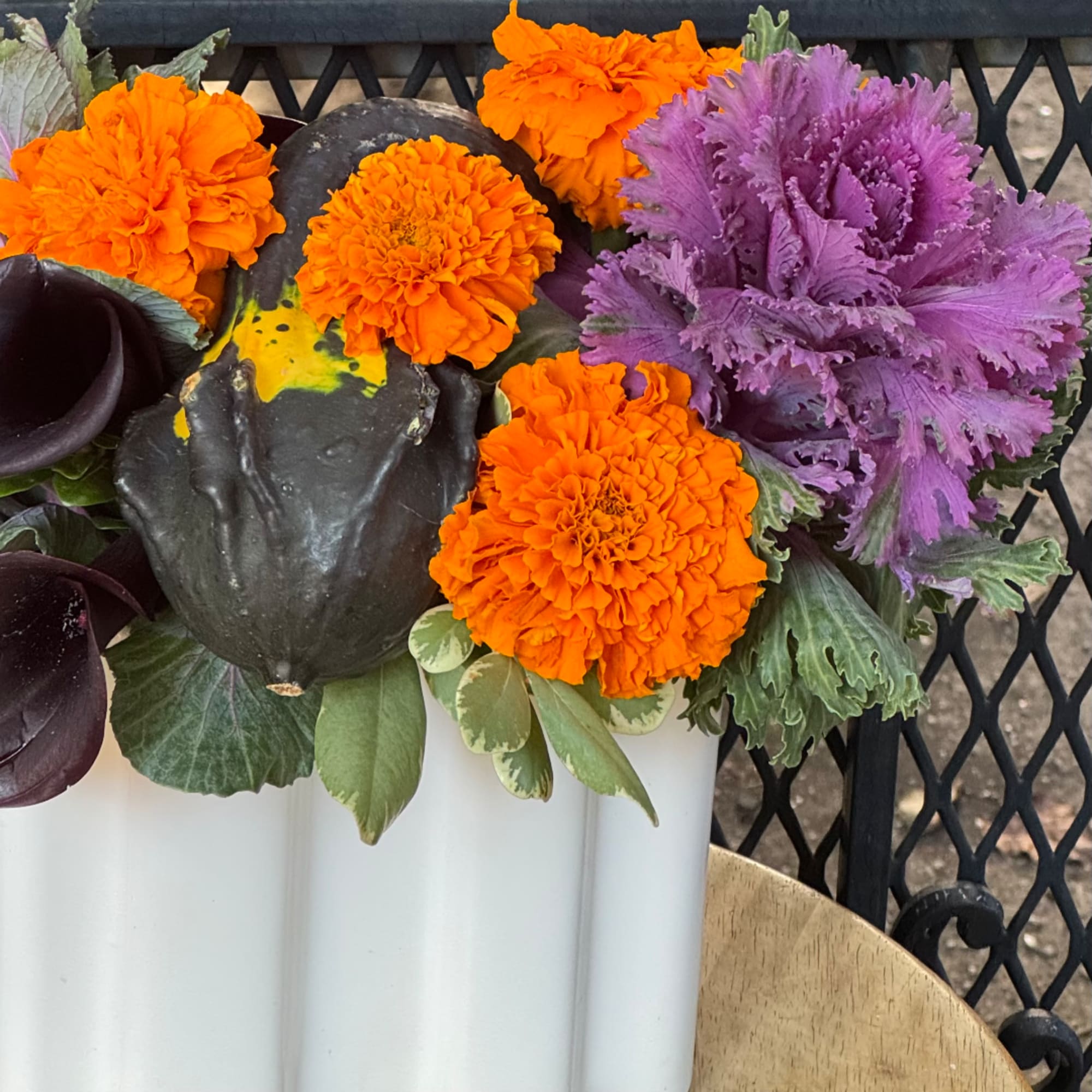 Orange marigolds and purple ornamental kale in a white planter