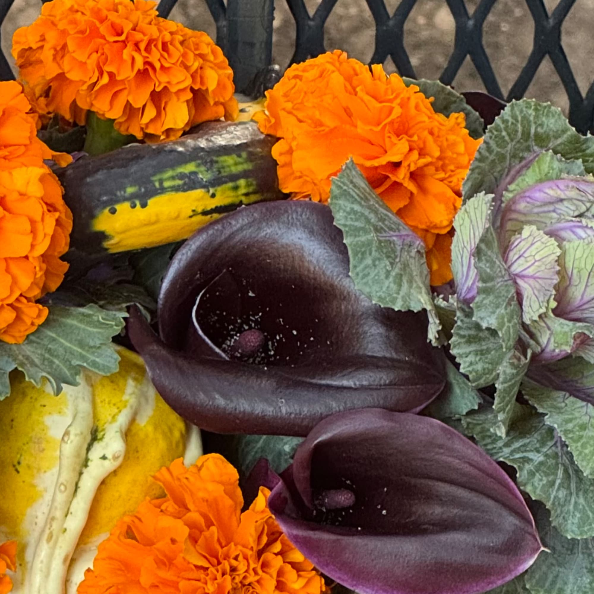 Orange marigolds with dark calla lilies and variegated ornamental cabbage