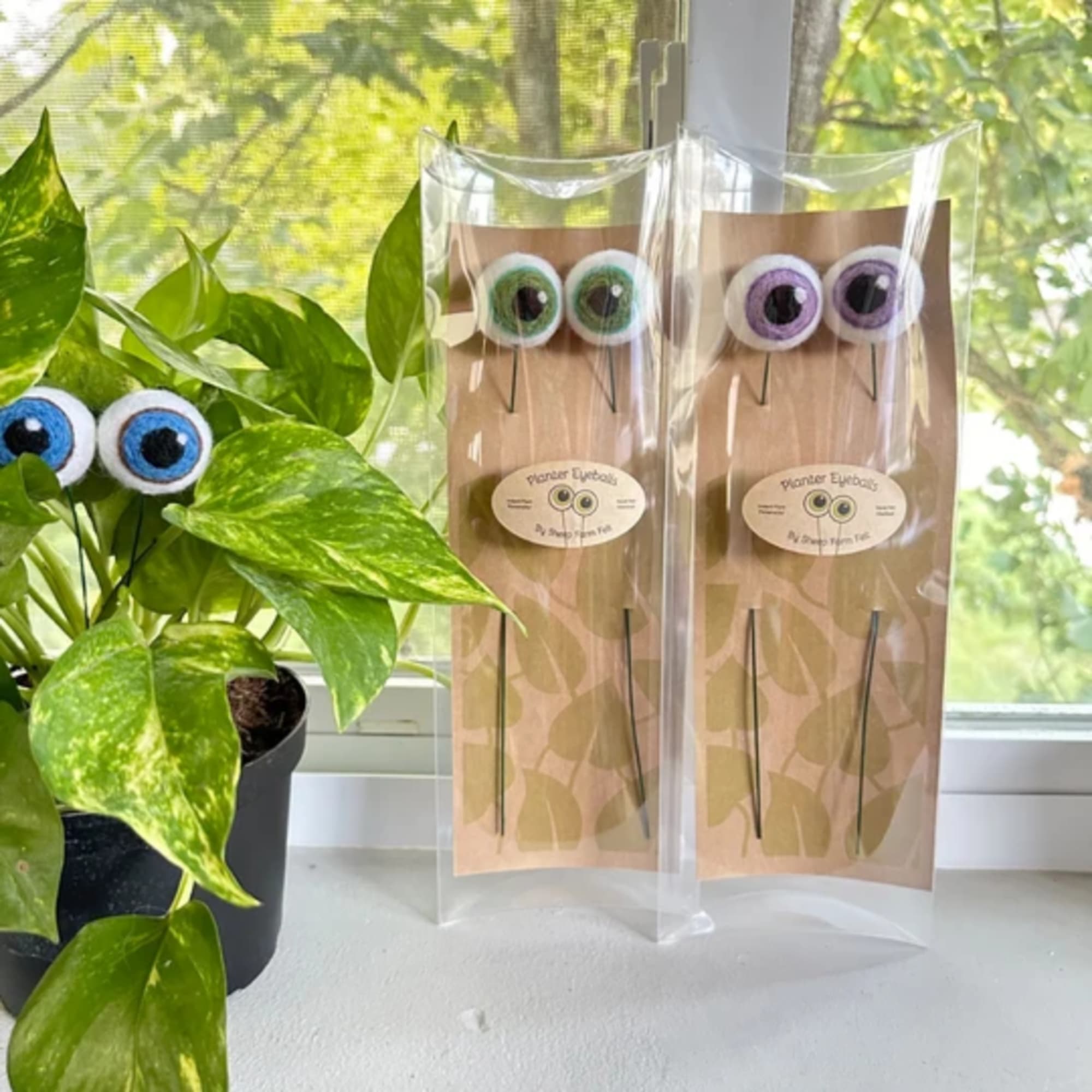 Potted plant with blue-eyed picks beside two packaged sets of purple and green picks