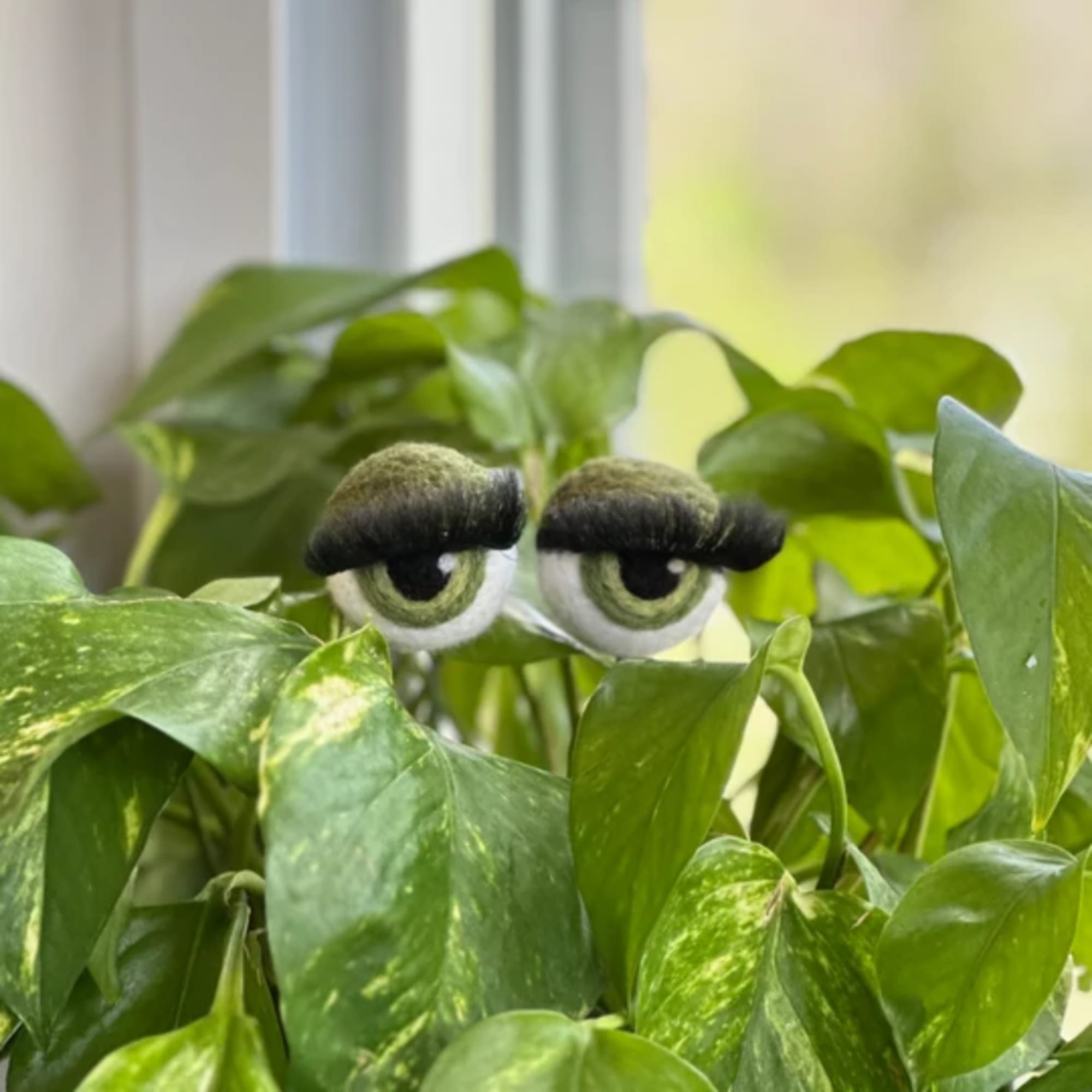 Potted green houseplant with decorative googly eyes