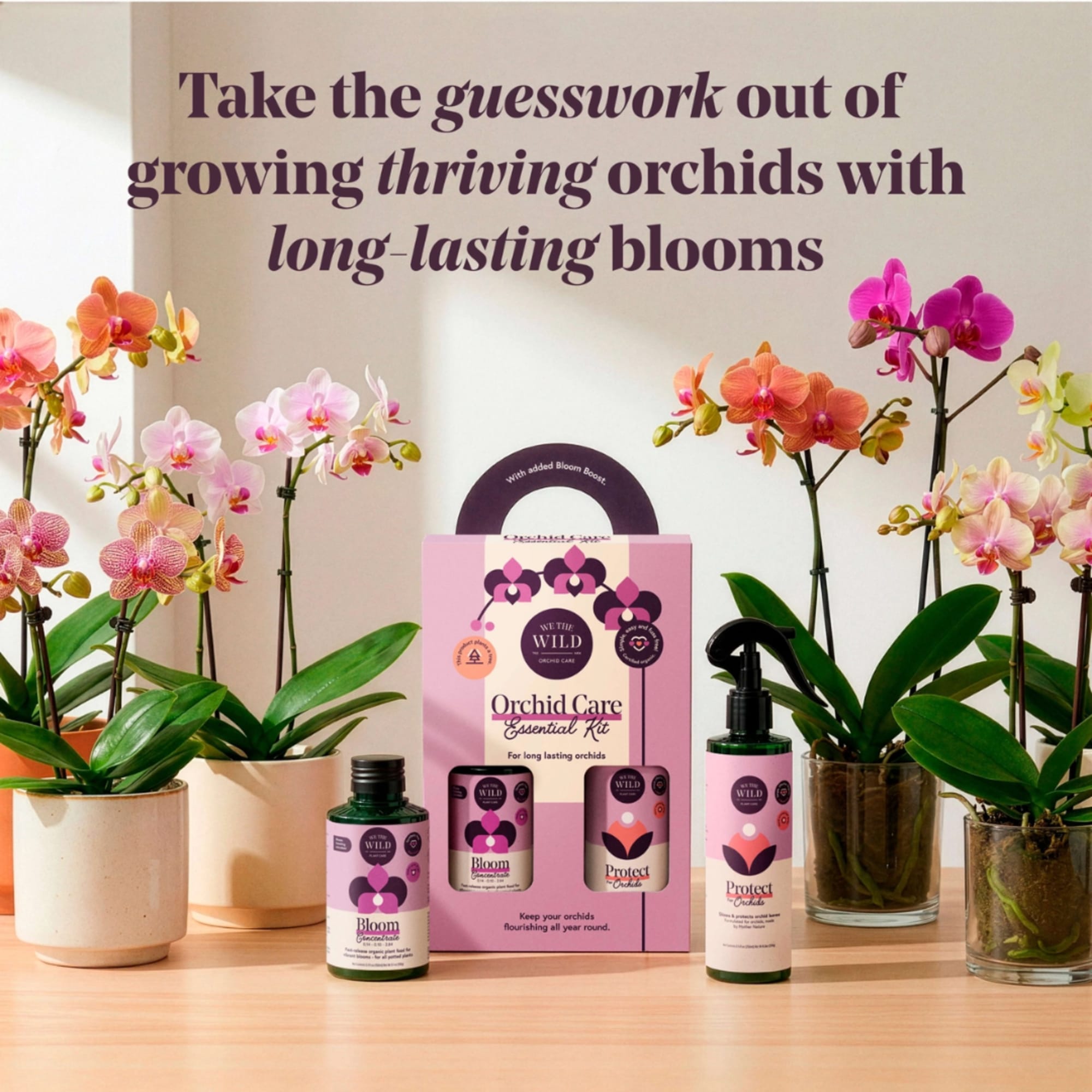 Orchid care kit with potted orchids and spray bottles on a table