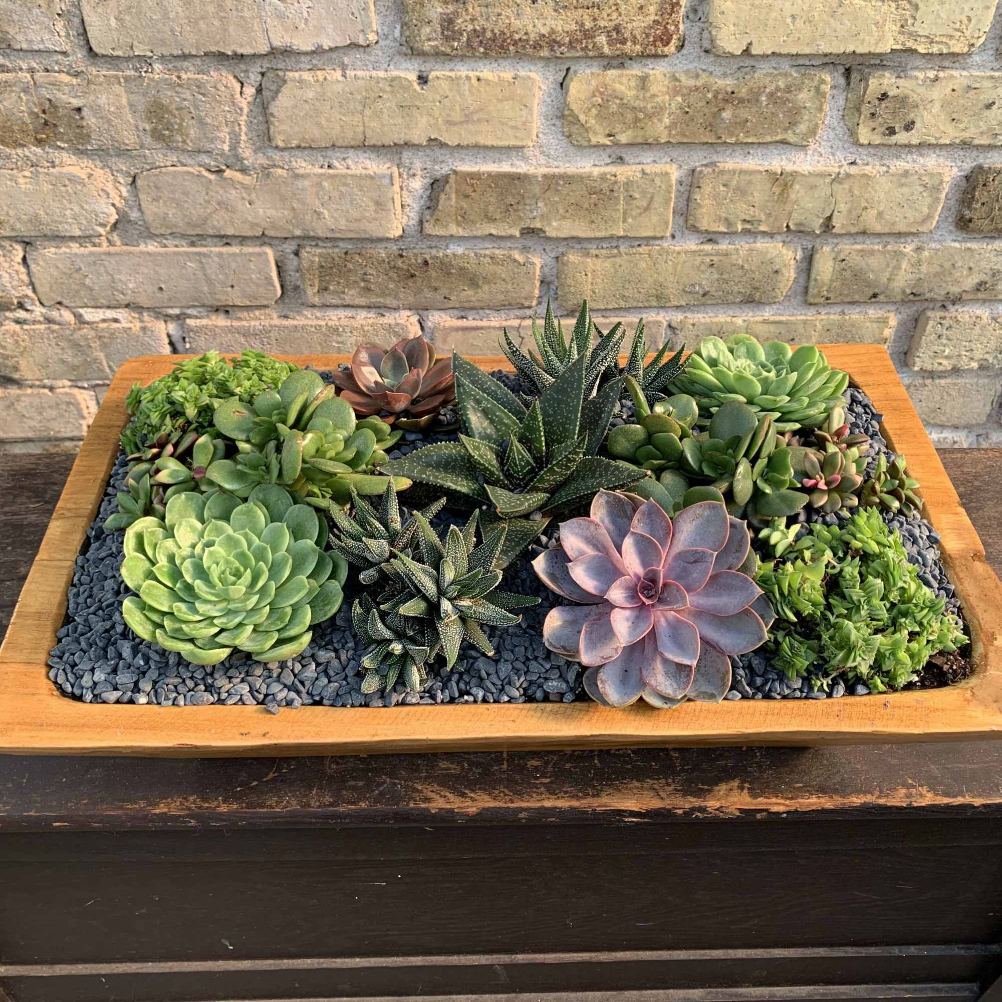 Succulent Garden Planted Into a Rectangle
Wooden Container. A Great Gift For That