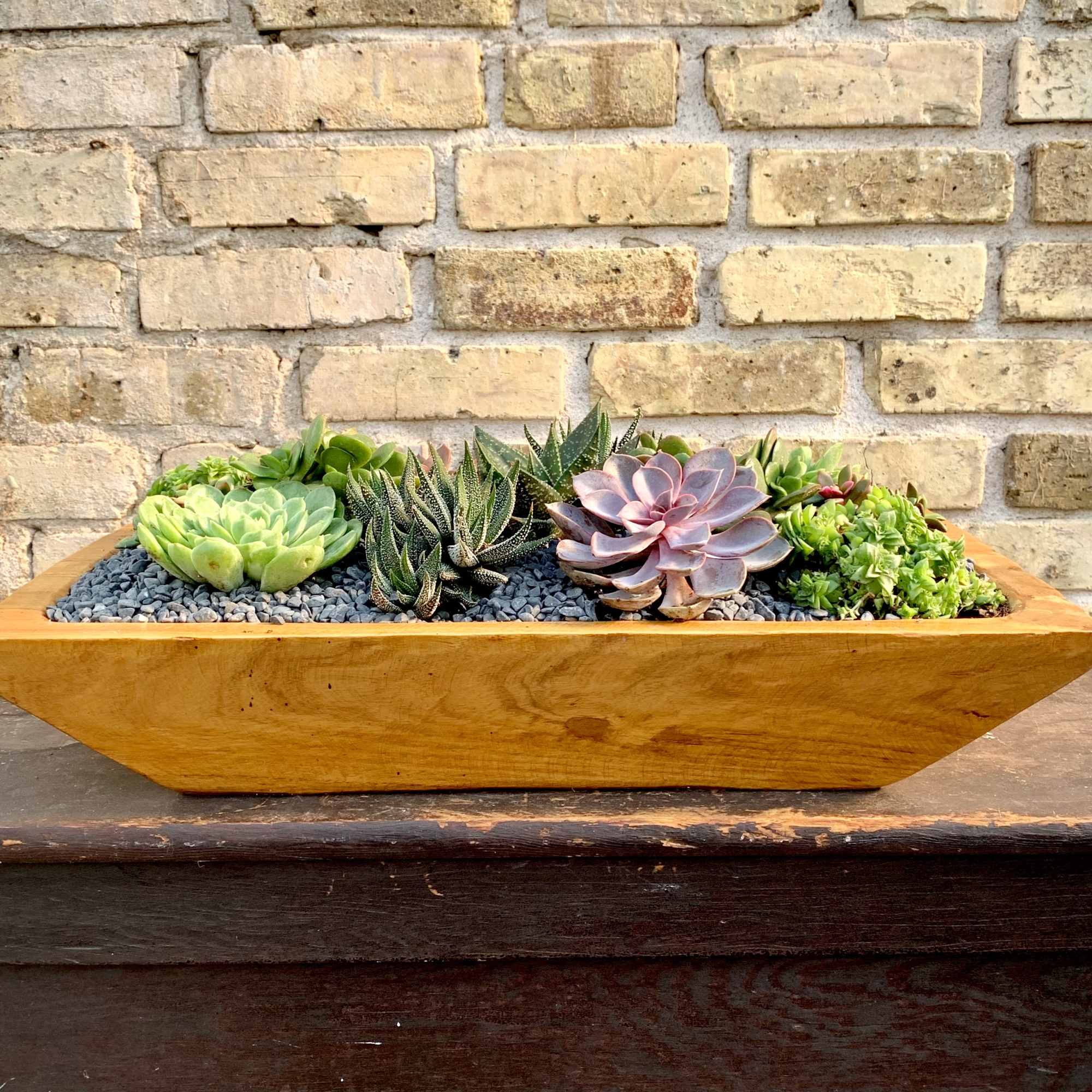 Succulent Garden Planted Into a Rectangle
Wooden Container. A Great Gift For That, photo 2 of 2