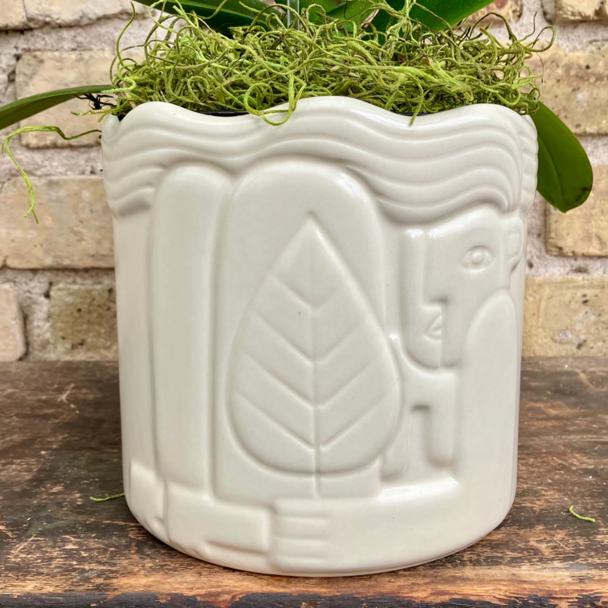 White ceramic planter with green moss and orchid leaves