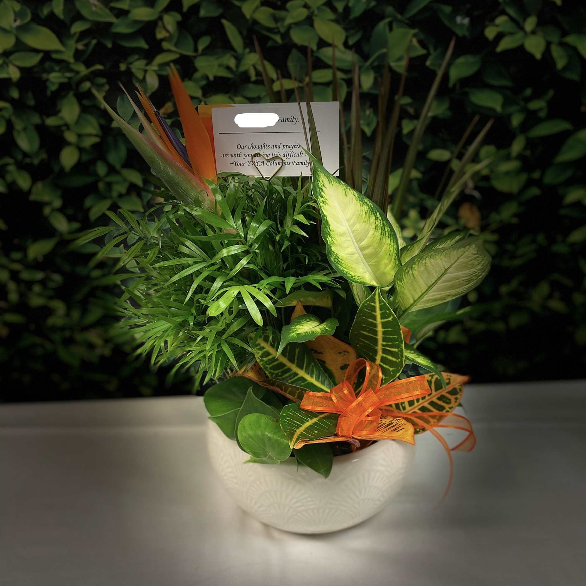 Tropical potted plant arrangement in a white bowl with an orange ribbon