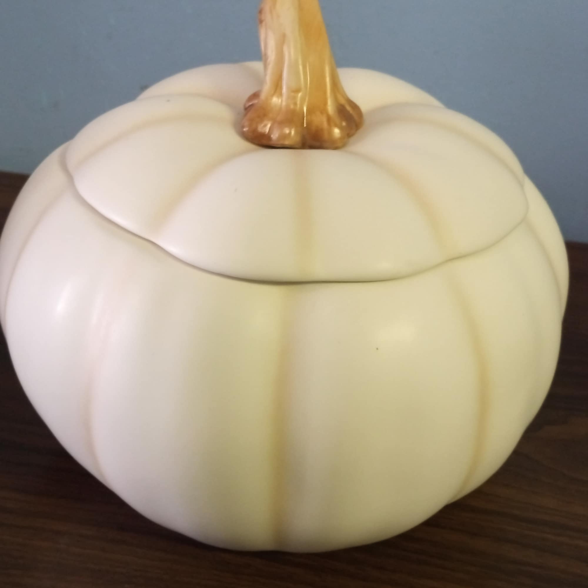White decorative pumpkin on a wooden surface