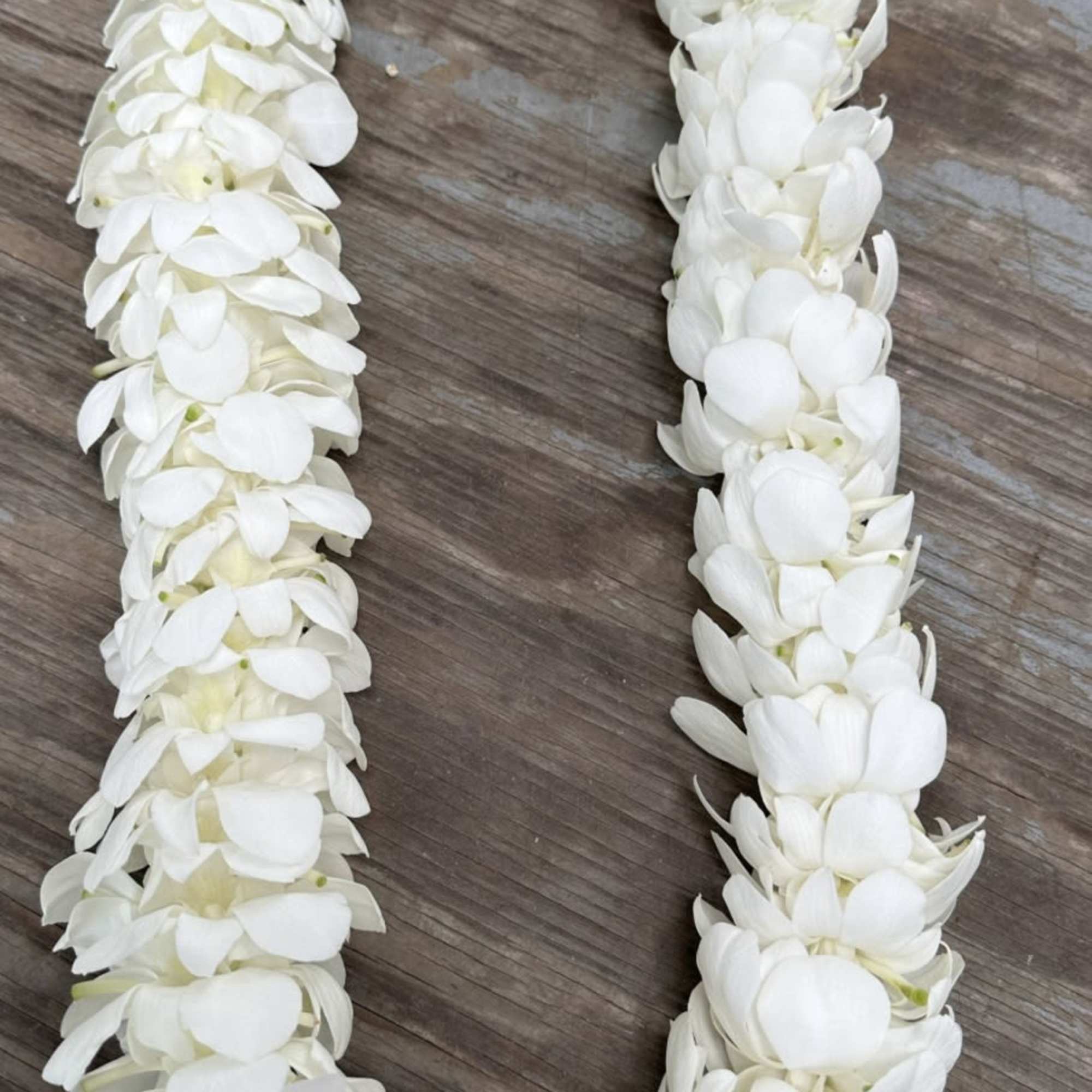 Single strand white flower lei arranged in an oval on a wooden surface