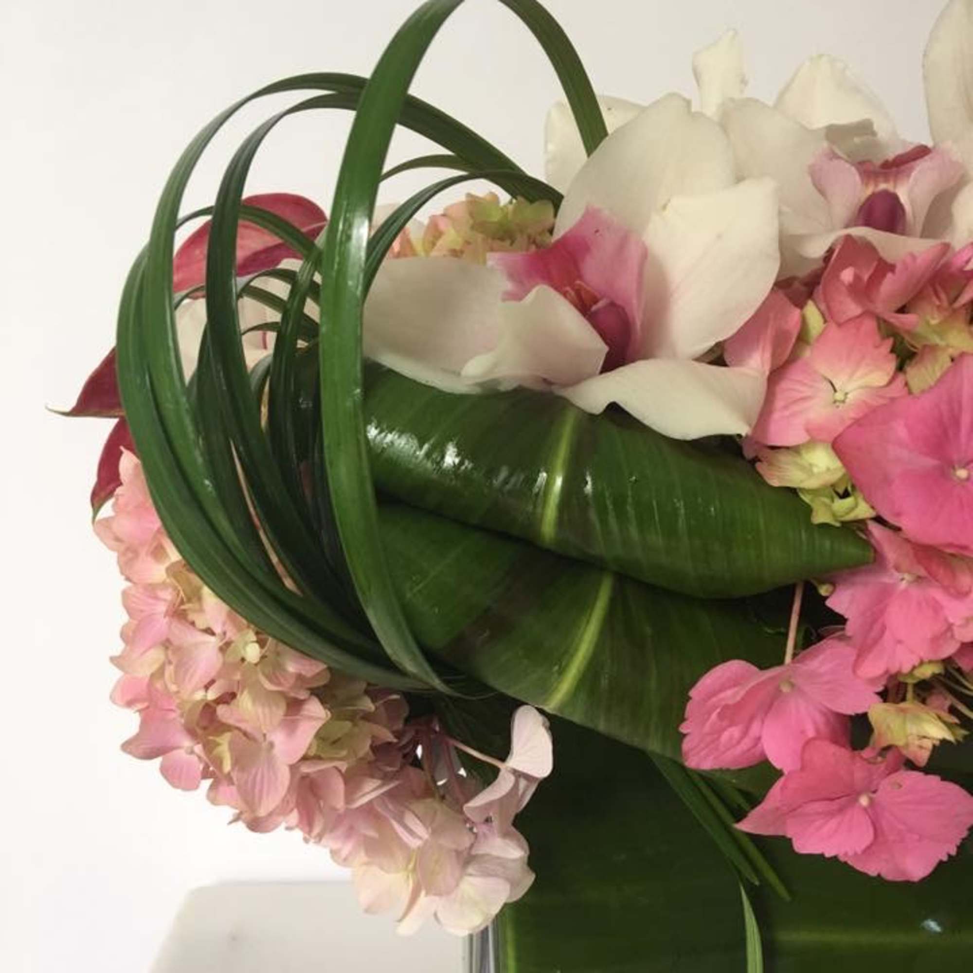 Pink and white flowers arranged with broad green leaves in a vase