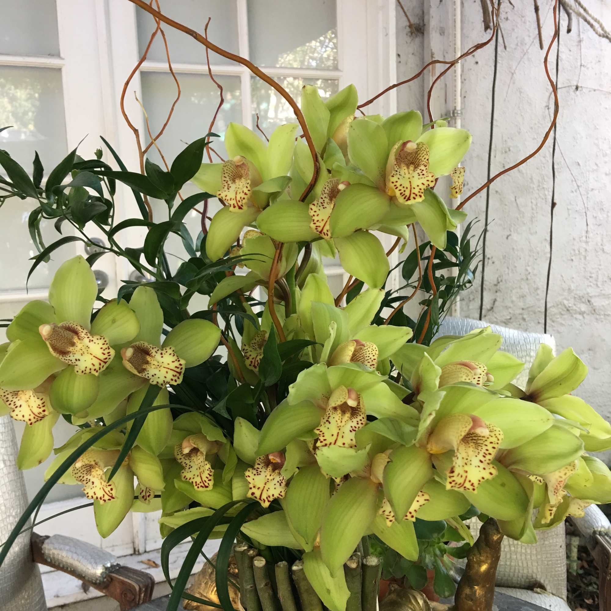 Green orchid arrangement in a gold vase with curly branches