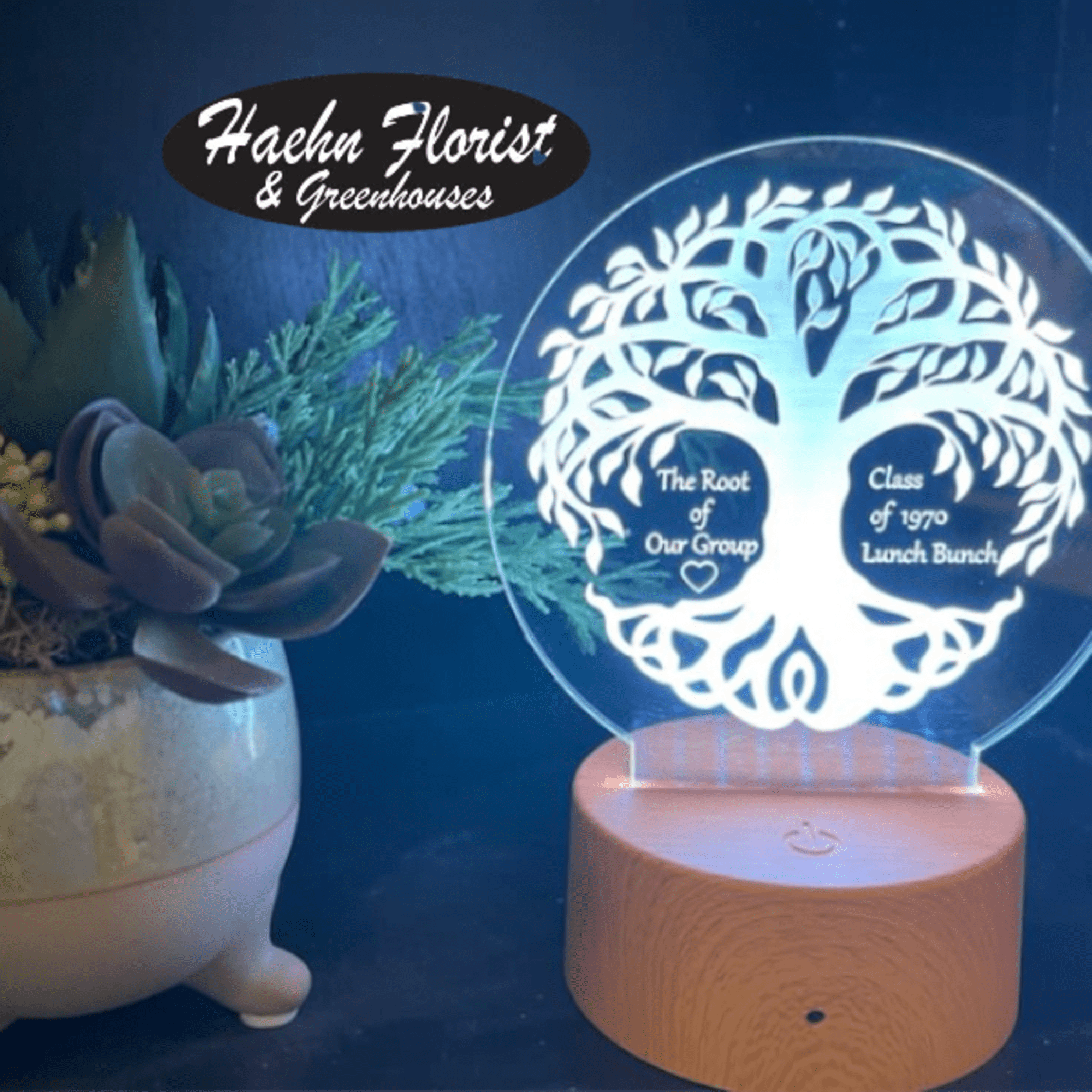 Makes for an eye catching display for home or business. A sweet