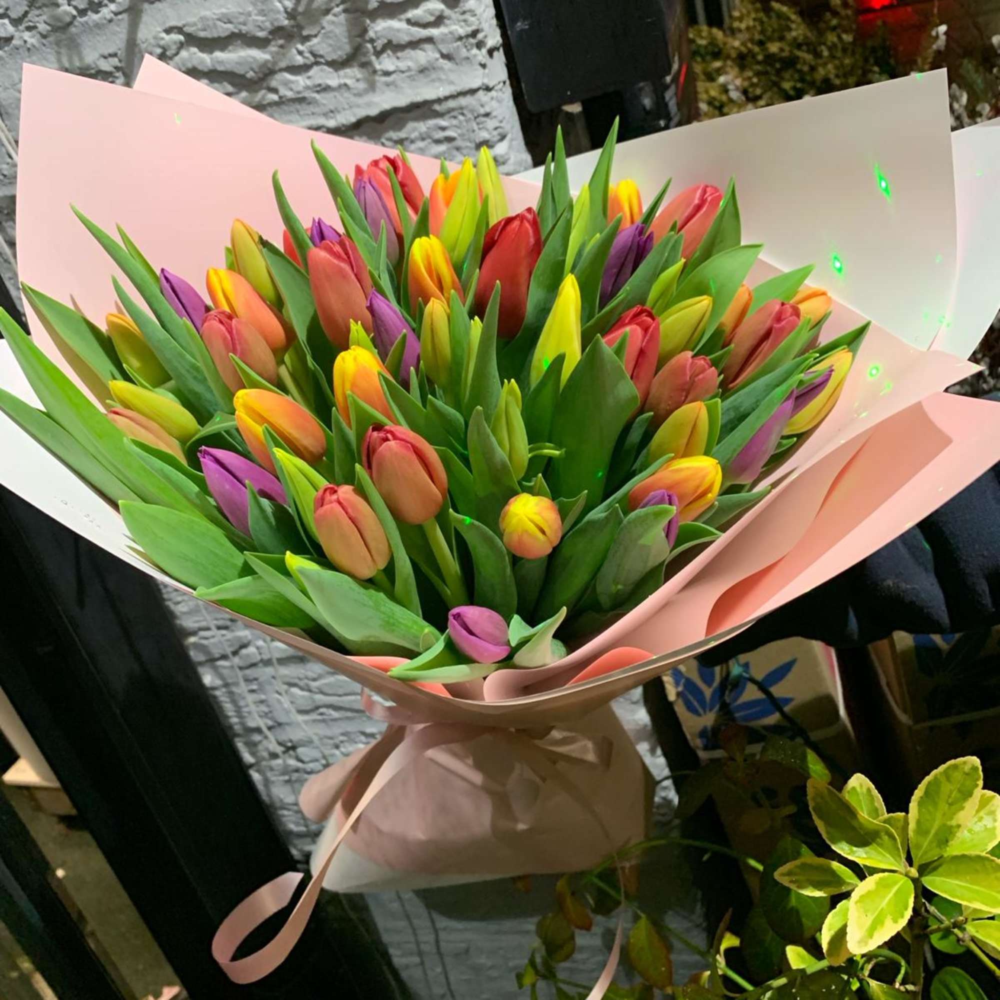 Bouquet of multicolored tulips wrapped in pink paper