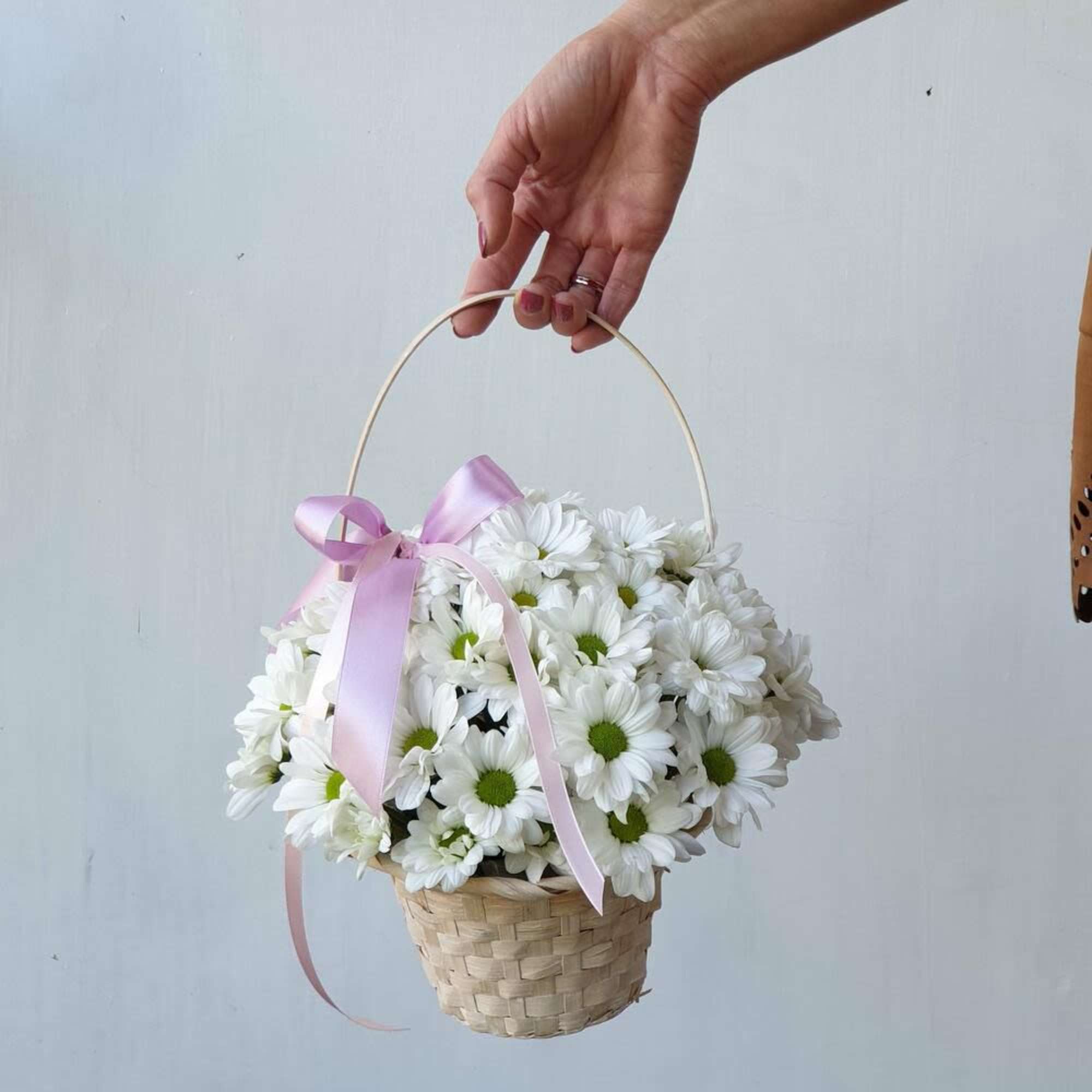 Basket of white daisies with a pink ribbon being held by a hand