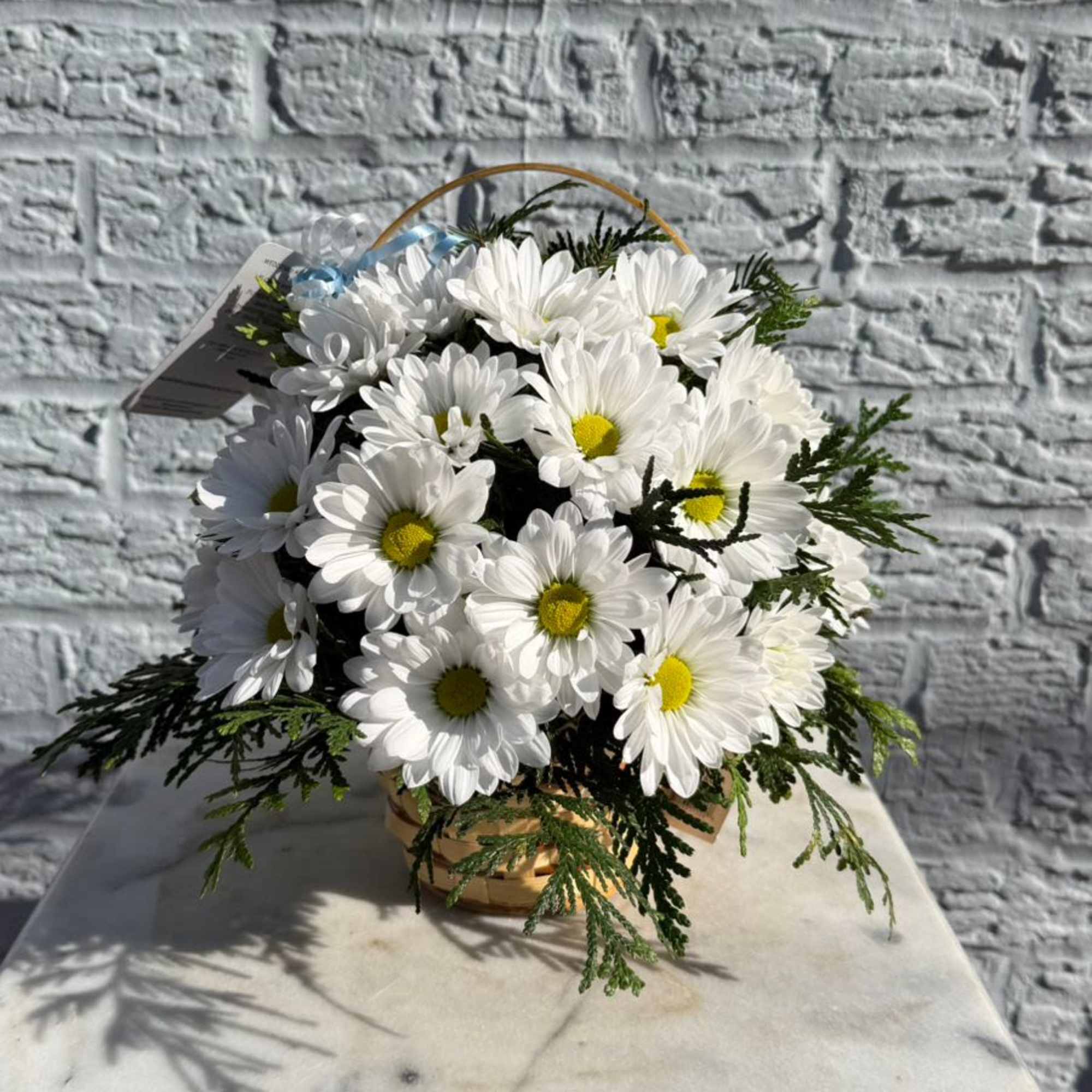 Basket of white daisies with yellow centers and greenery