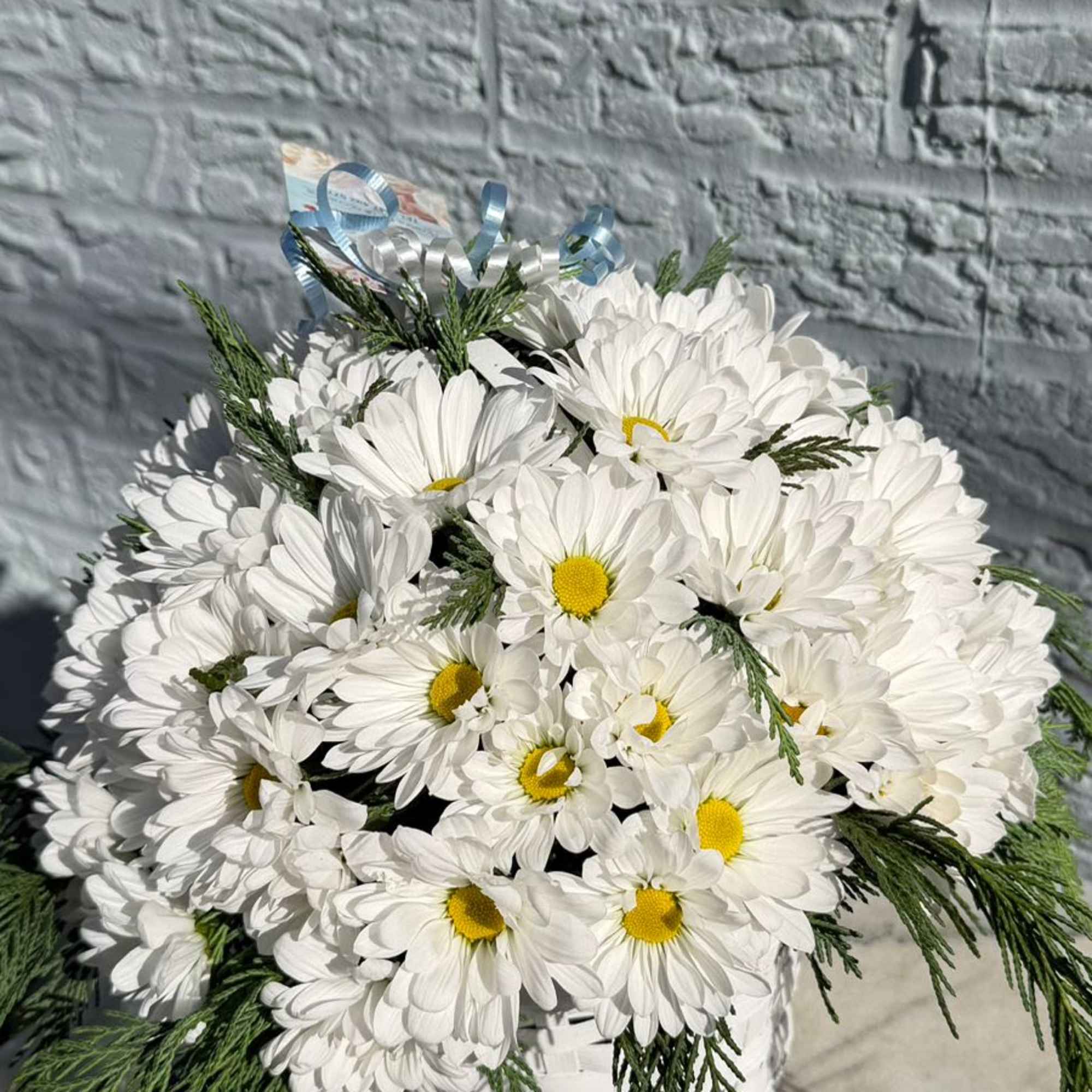 White daisy bouquet in a white basket with blue ribbon curls