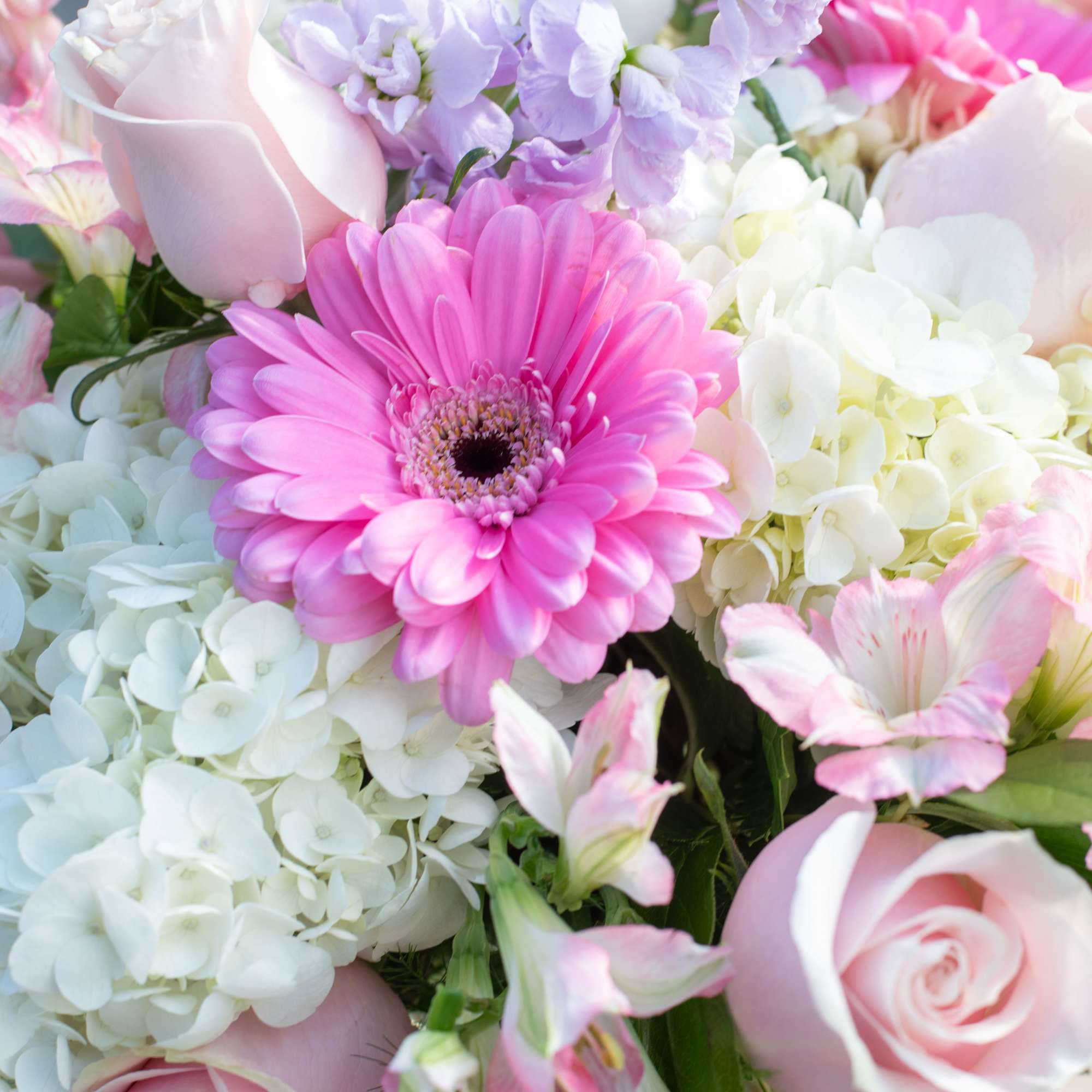 Pink gerbera daisy bouquet with pale roses and white hydrangeas
