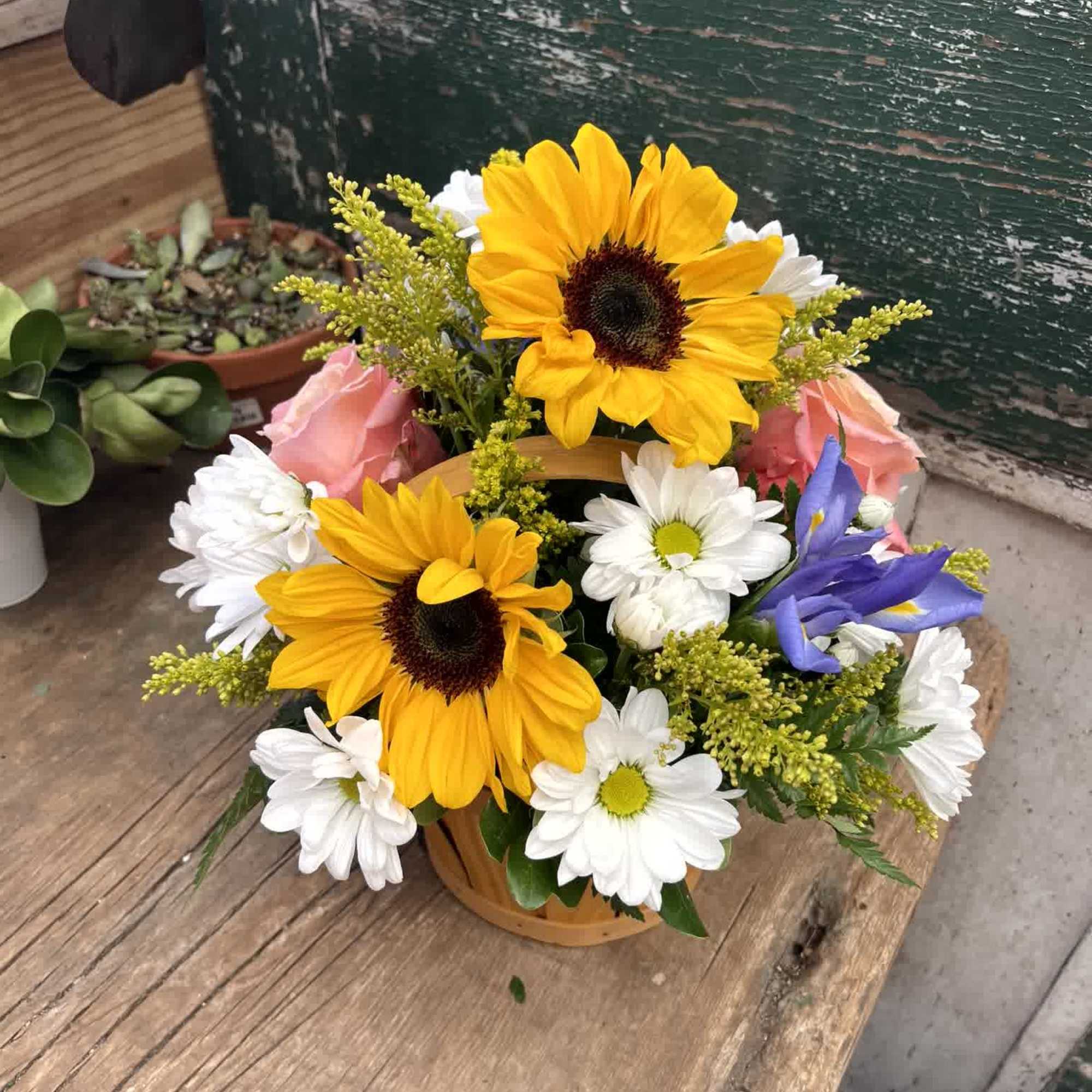 Sunflower and daisy bouquet in a small basket