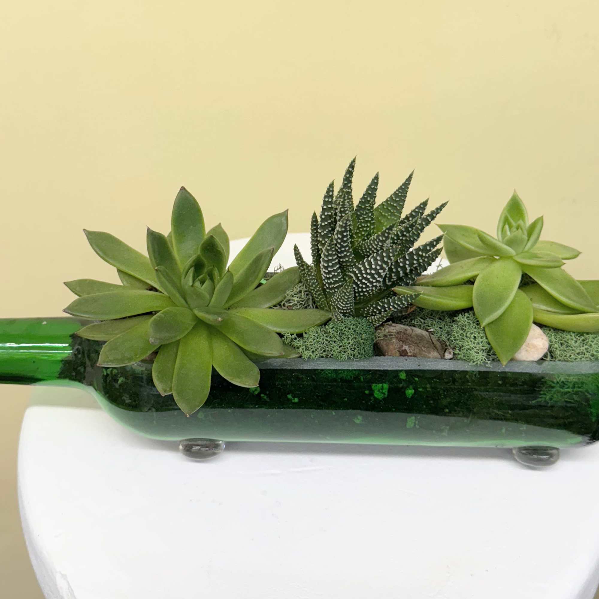Succulents arranged in a green glass bottle planter, photo 2 of 3
