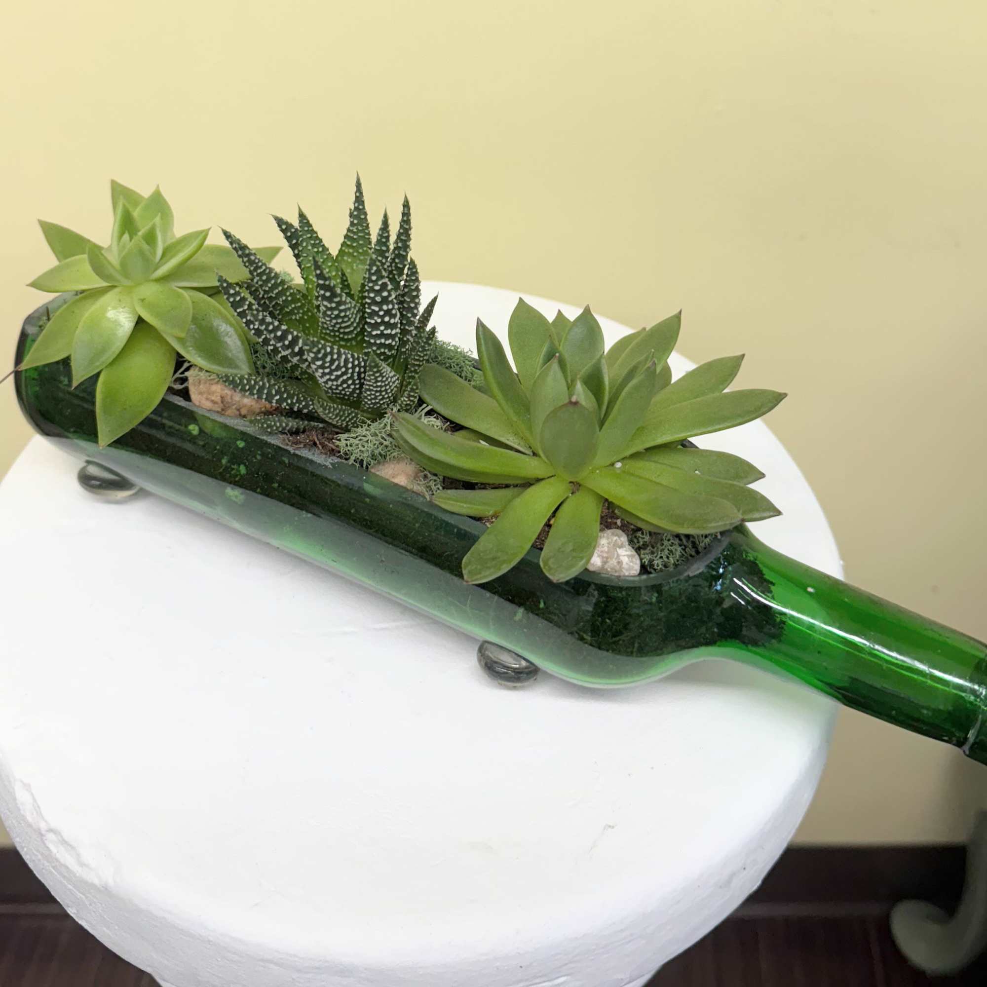 Succulent arrangement in a green glass bottle